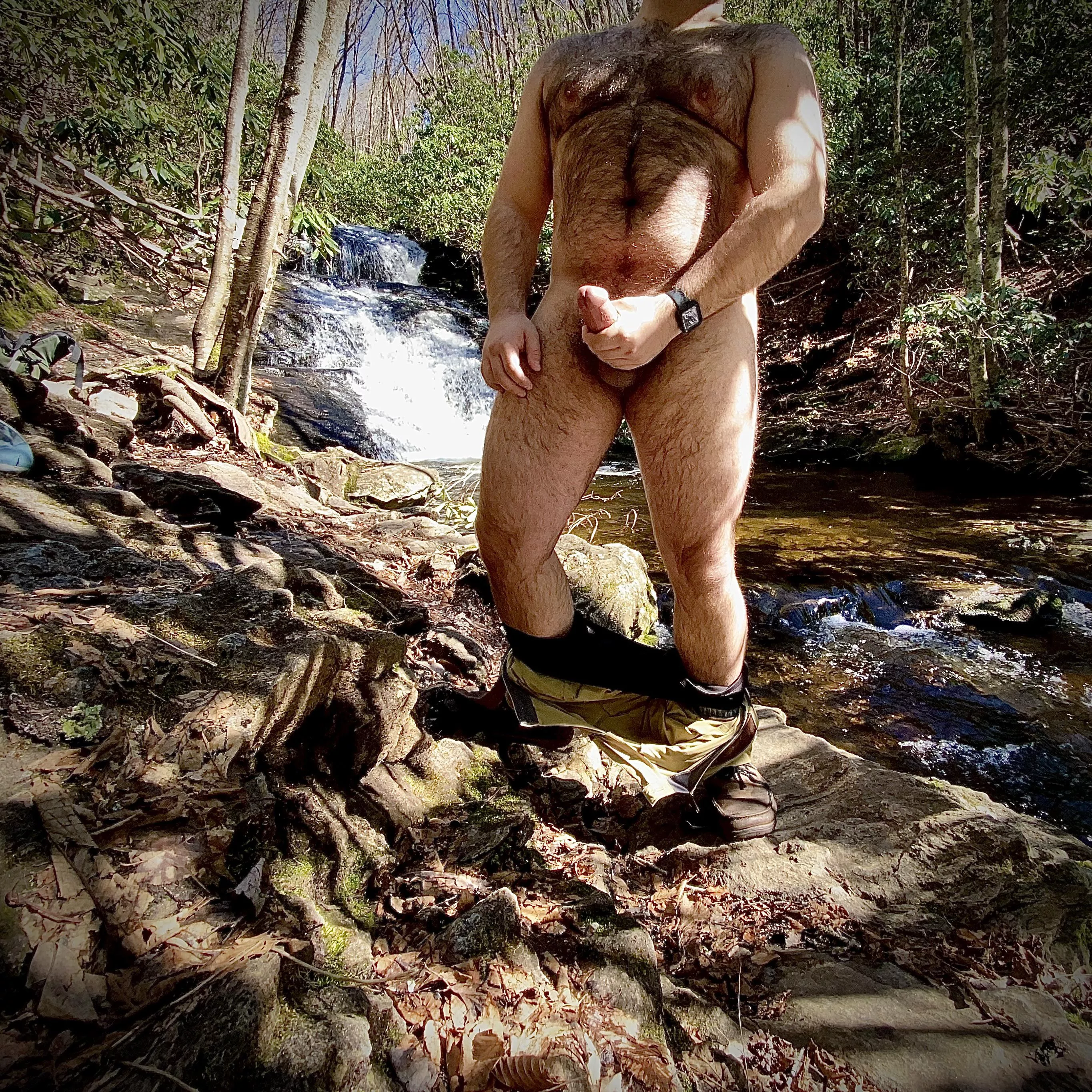 Come play with me in the woods.