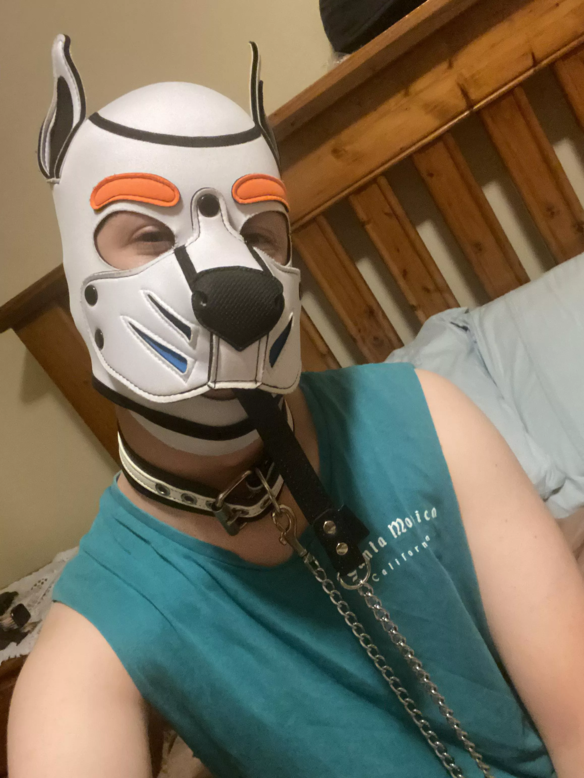 Come tug on my leash?