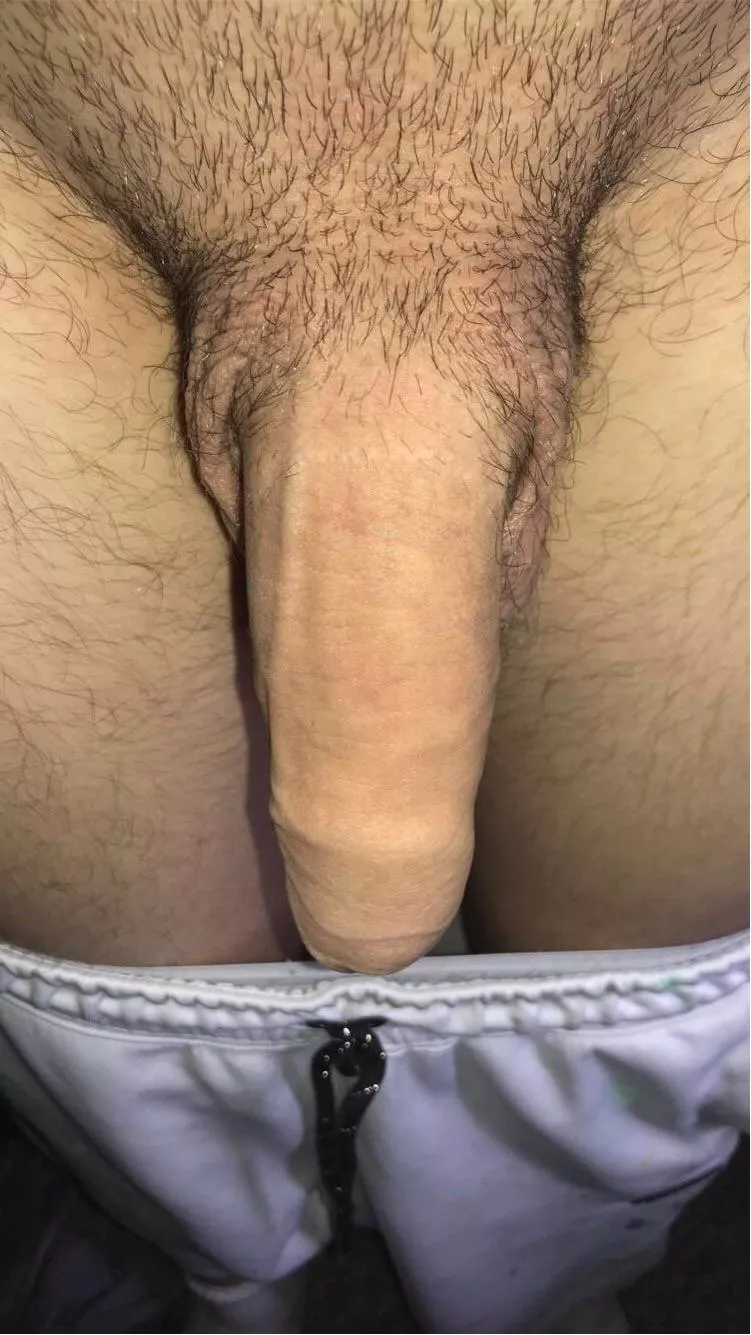 Completely soft, would u say in a shower or a grower?