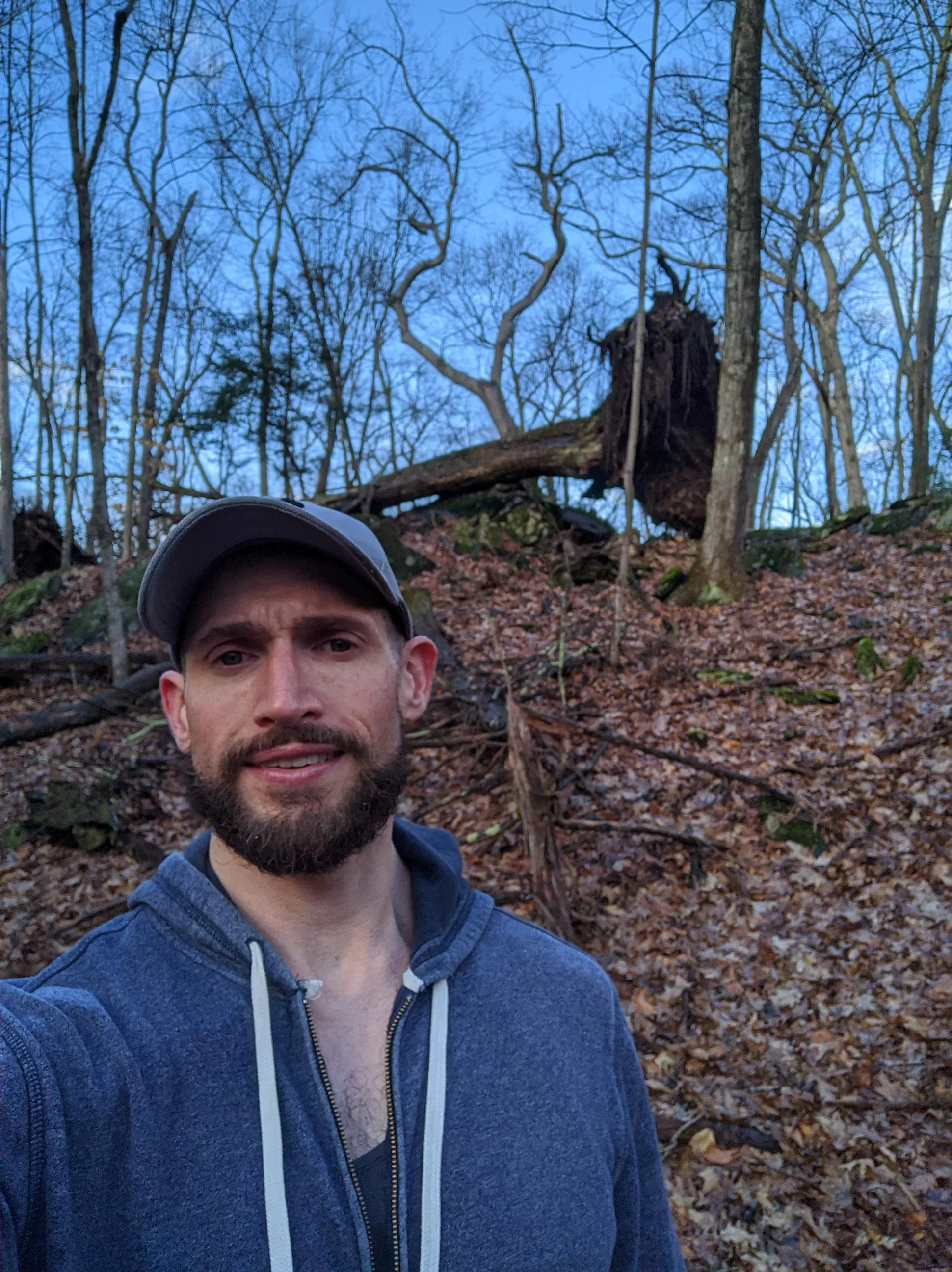 Cool trees at the end of this hike