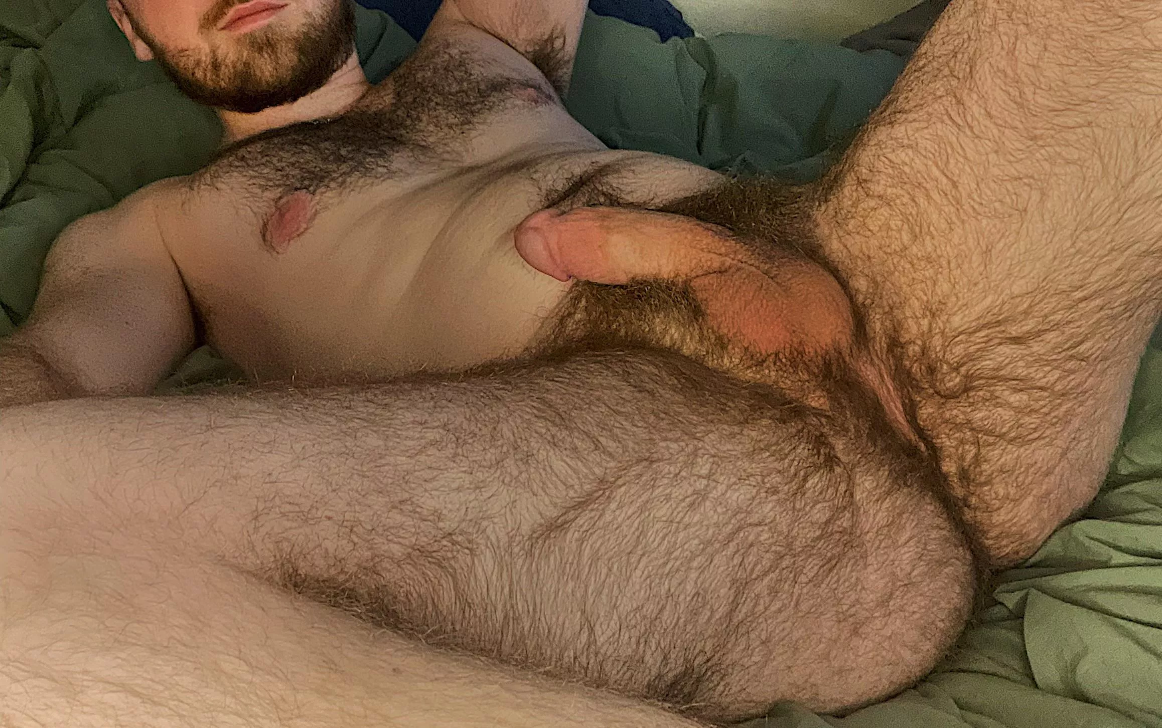 Could use another otter or 10 in this king bed 😏