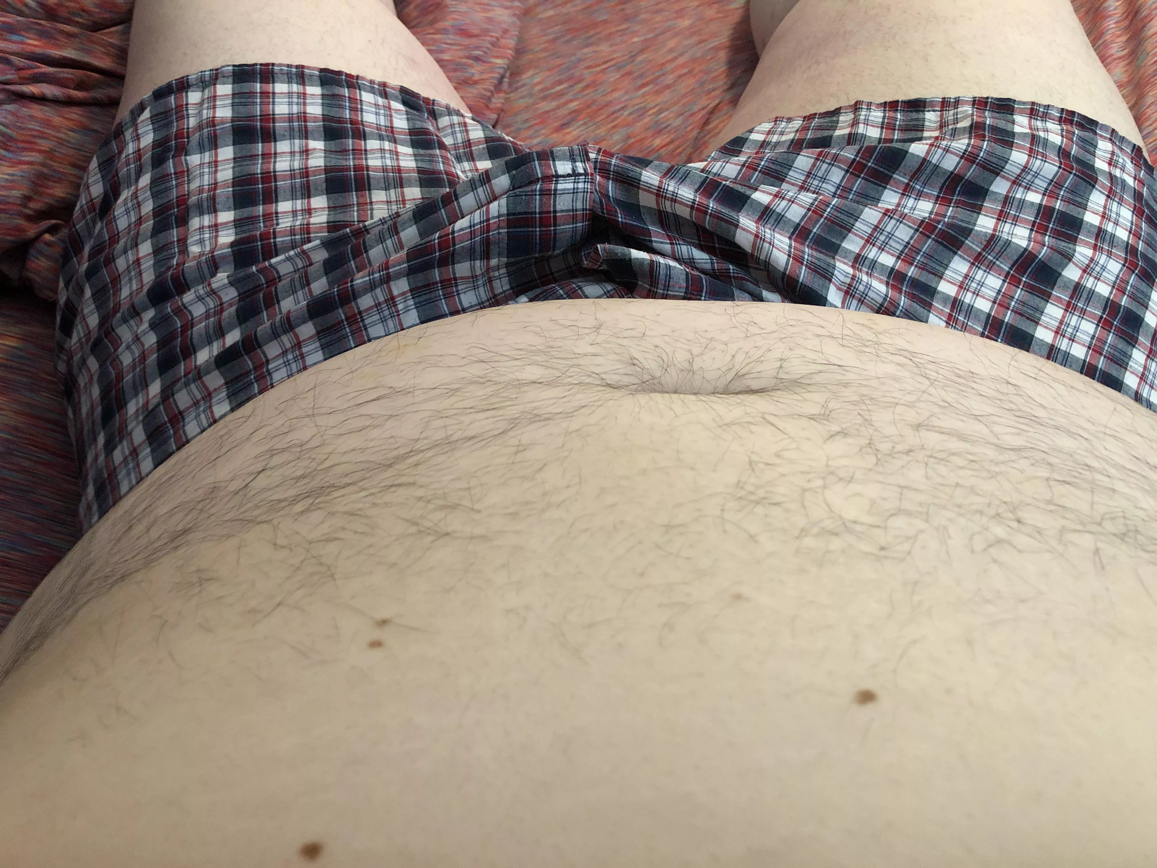 Could use something to nibble on this morning. Wonder what?