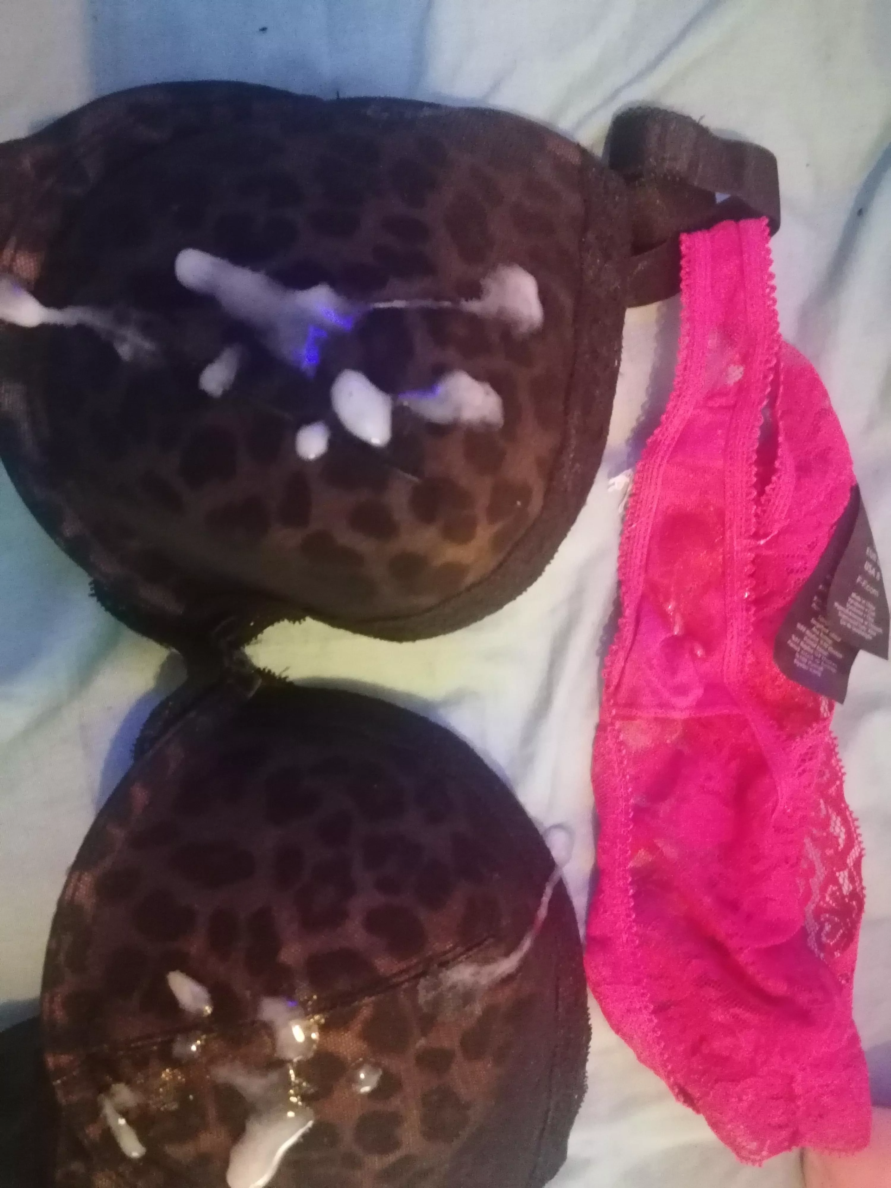 covered the wifes Bra