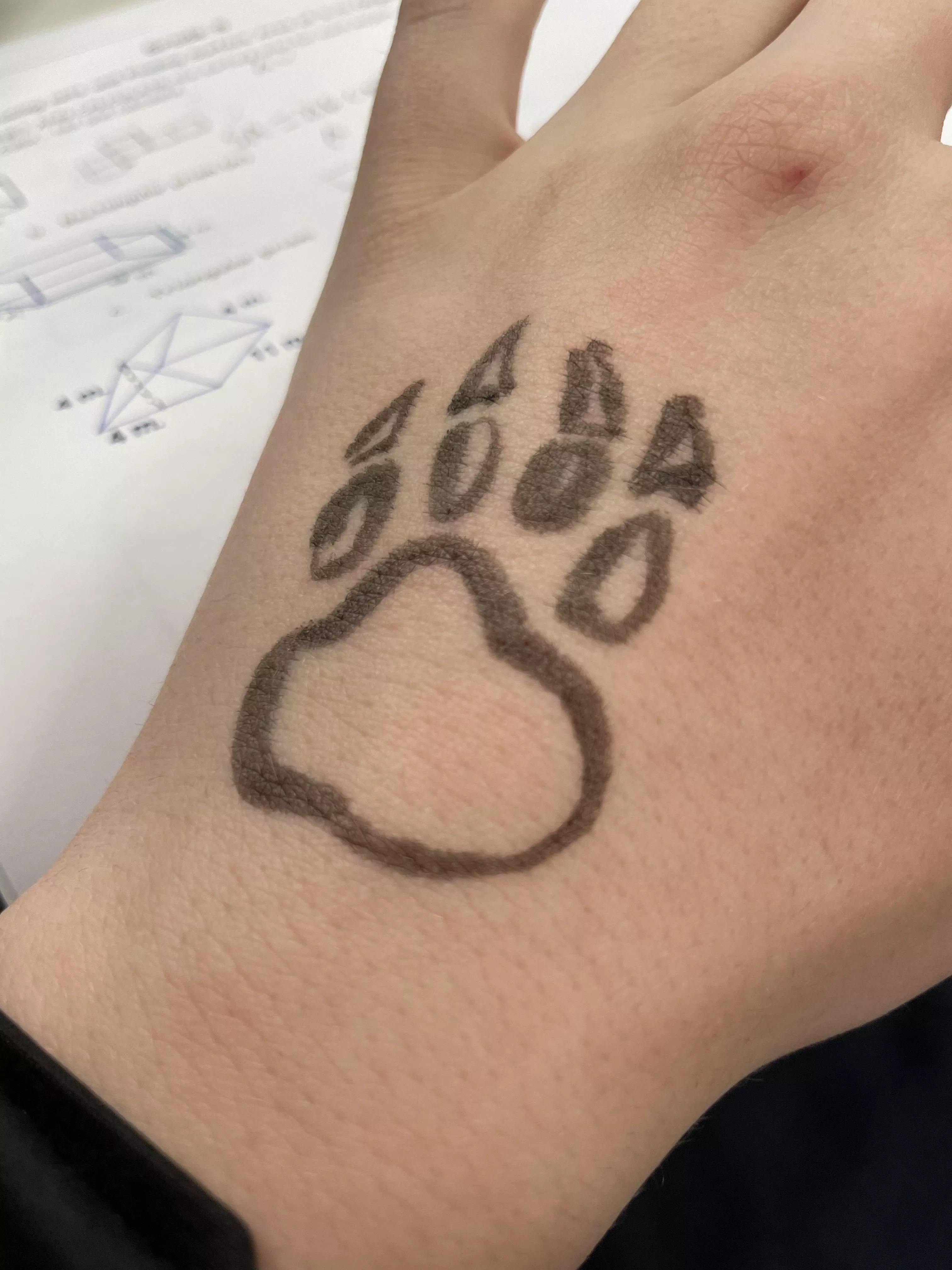 Culture day in Canada and school said to wear your cultural clothing so I drew a paw on my hand its the best I can do