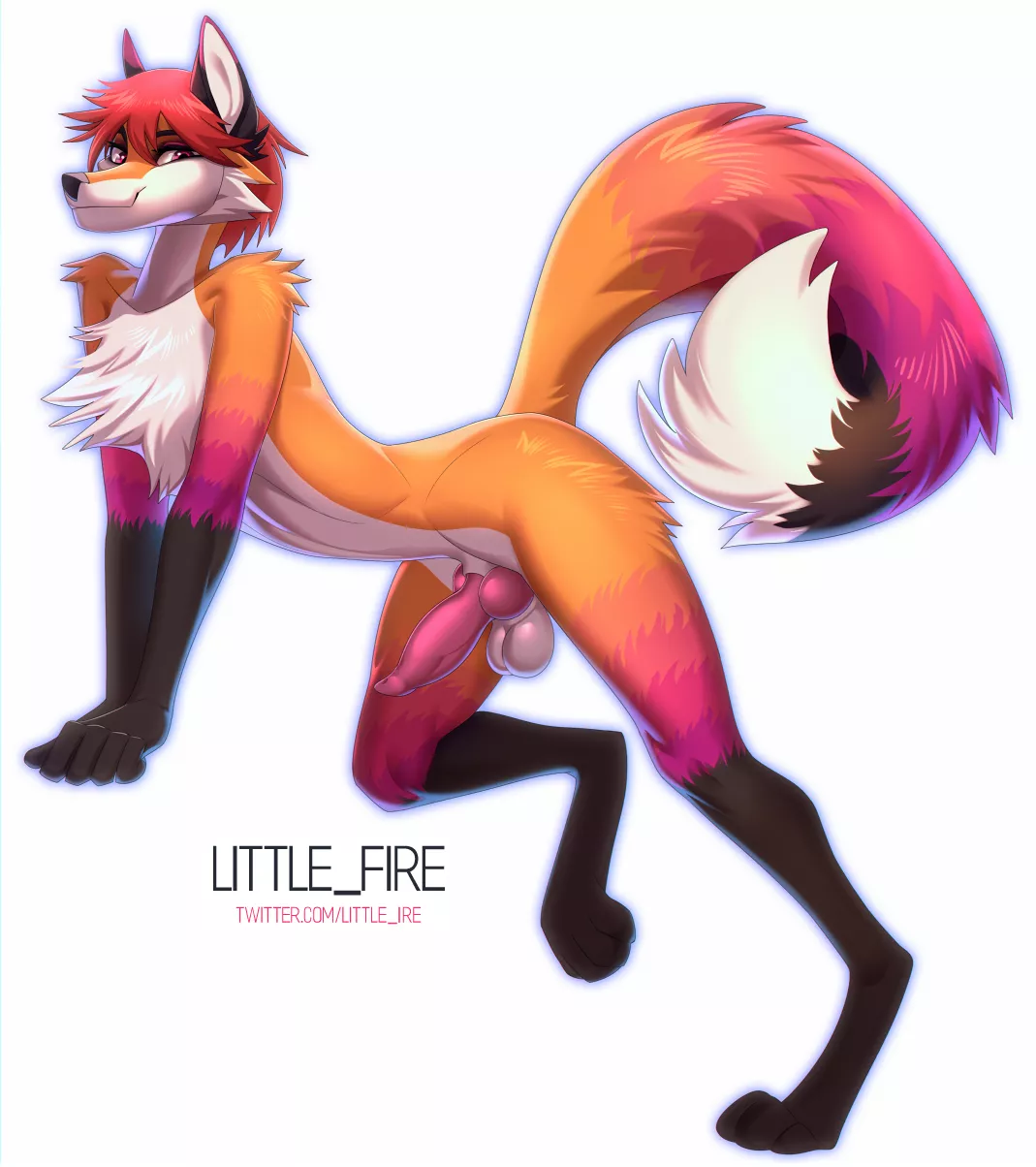 Cute Fox (littlefire)