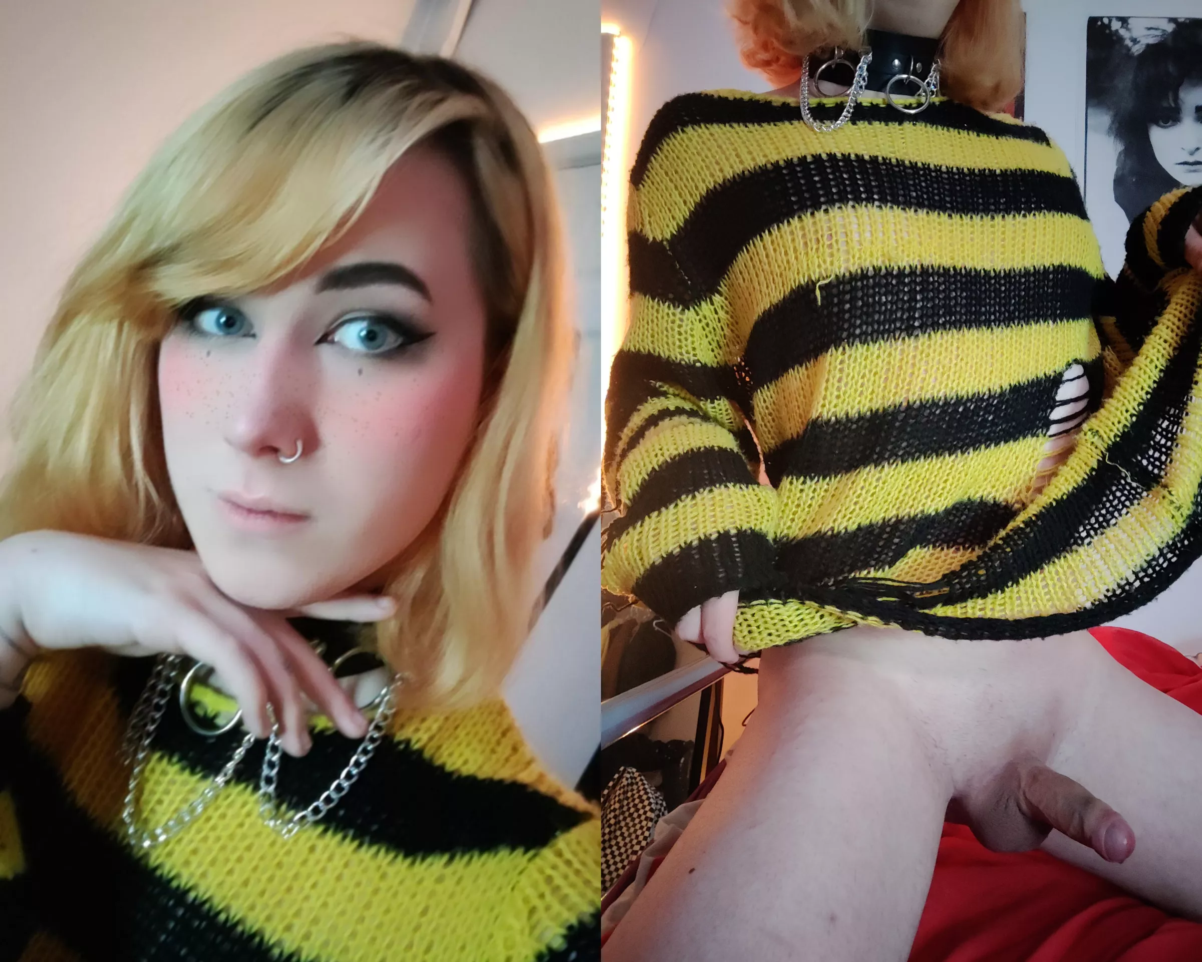 Cutie lil bee