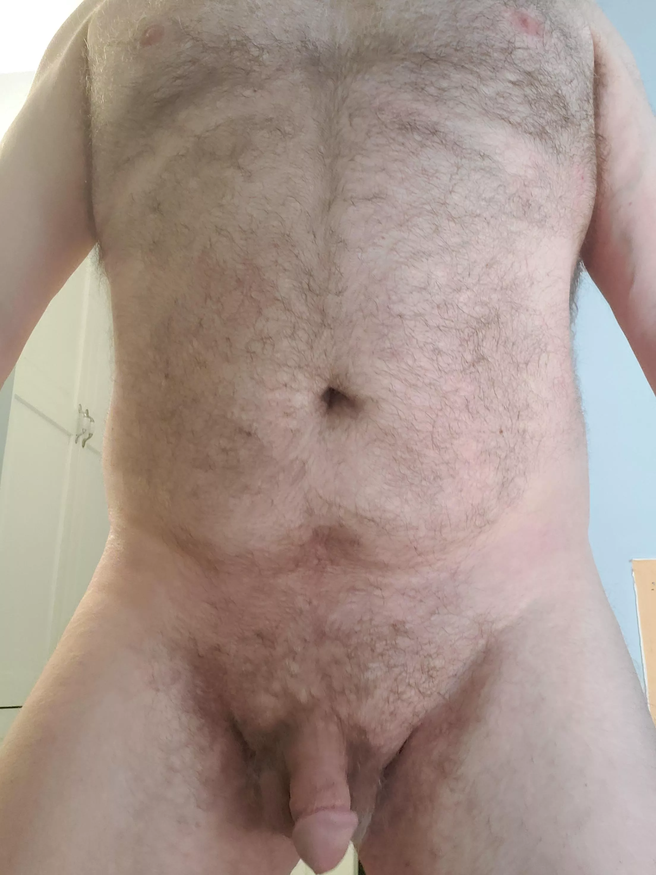 daddy bear looking and showing