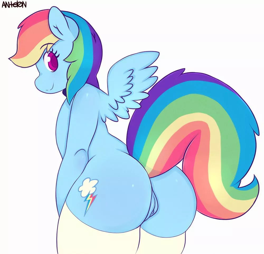 Dashie (antelon)