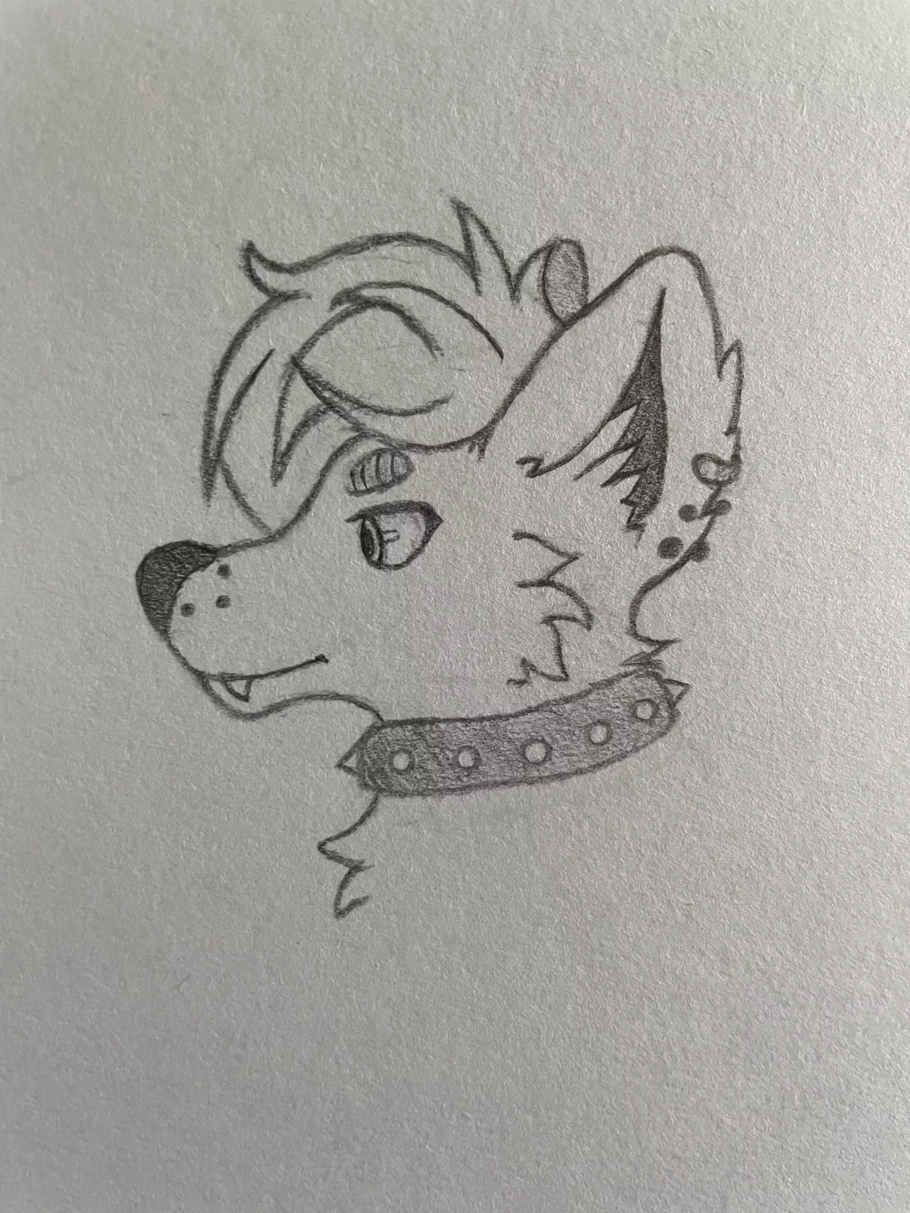 Did a lil doodle of my fursona, i think I’m finally set on the design. Not sure if i’ll keep the same colours (brown & cream)