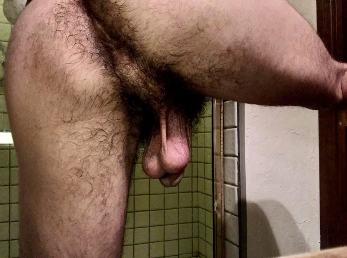 Do ass pubes count?