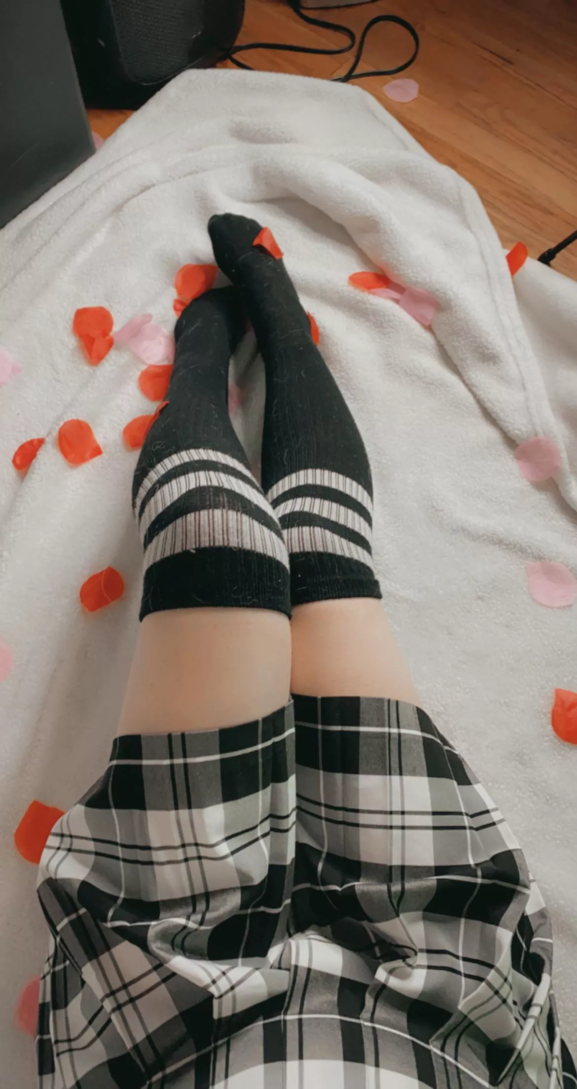 Do my legs look cute with these thigh highs?