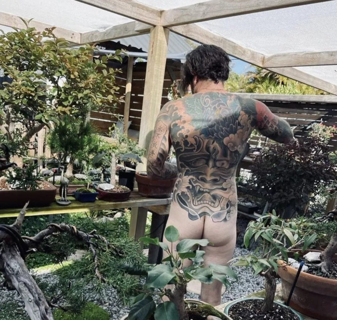 Do trees and ass go together? 🌱🌿🌻