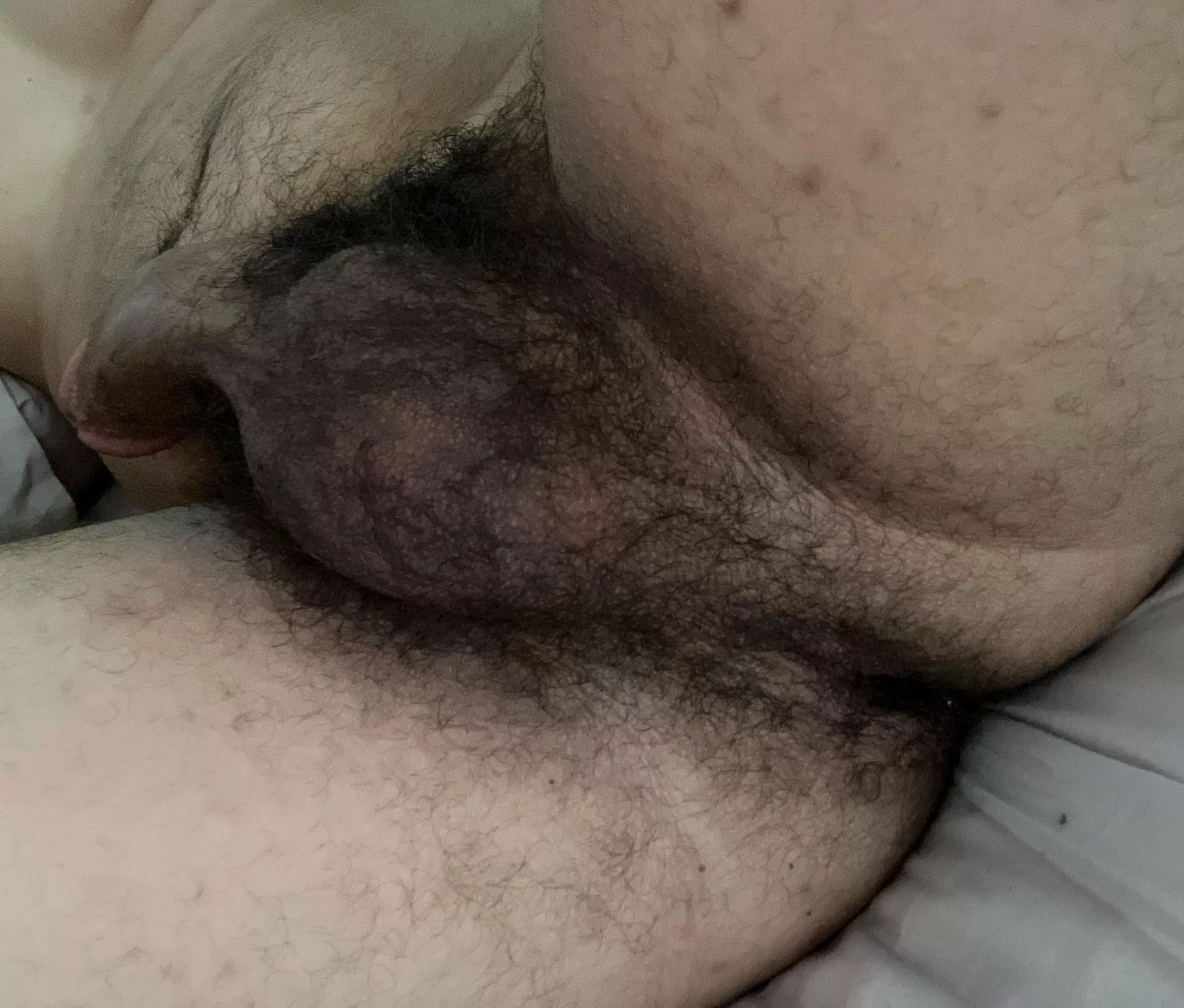 Do you like hairy balls 😛