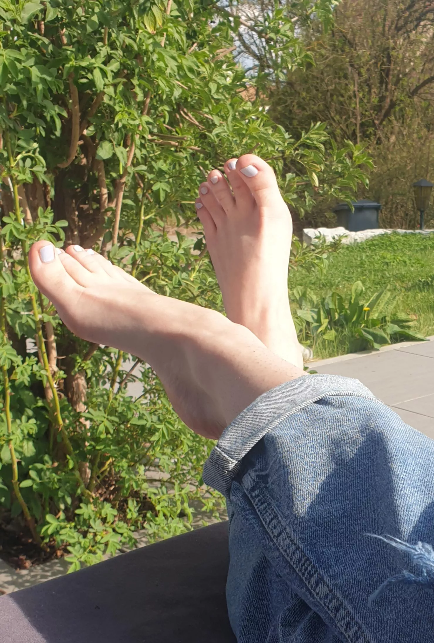 Do you like my arches?