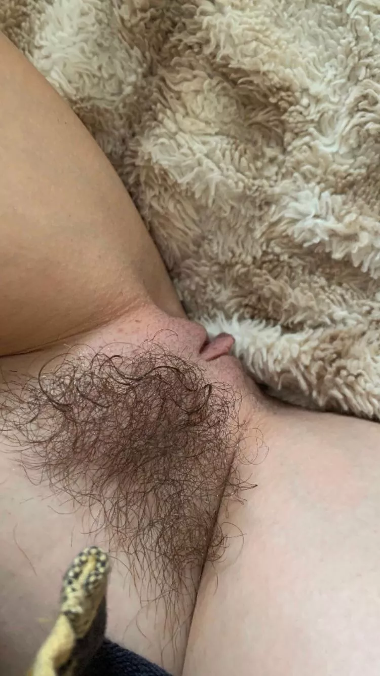 Do you like my black bushy