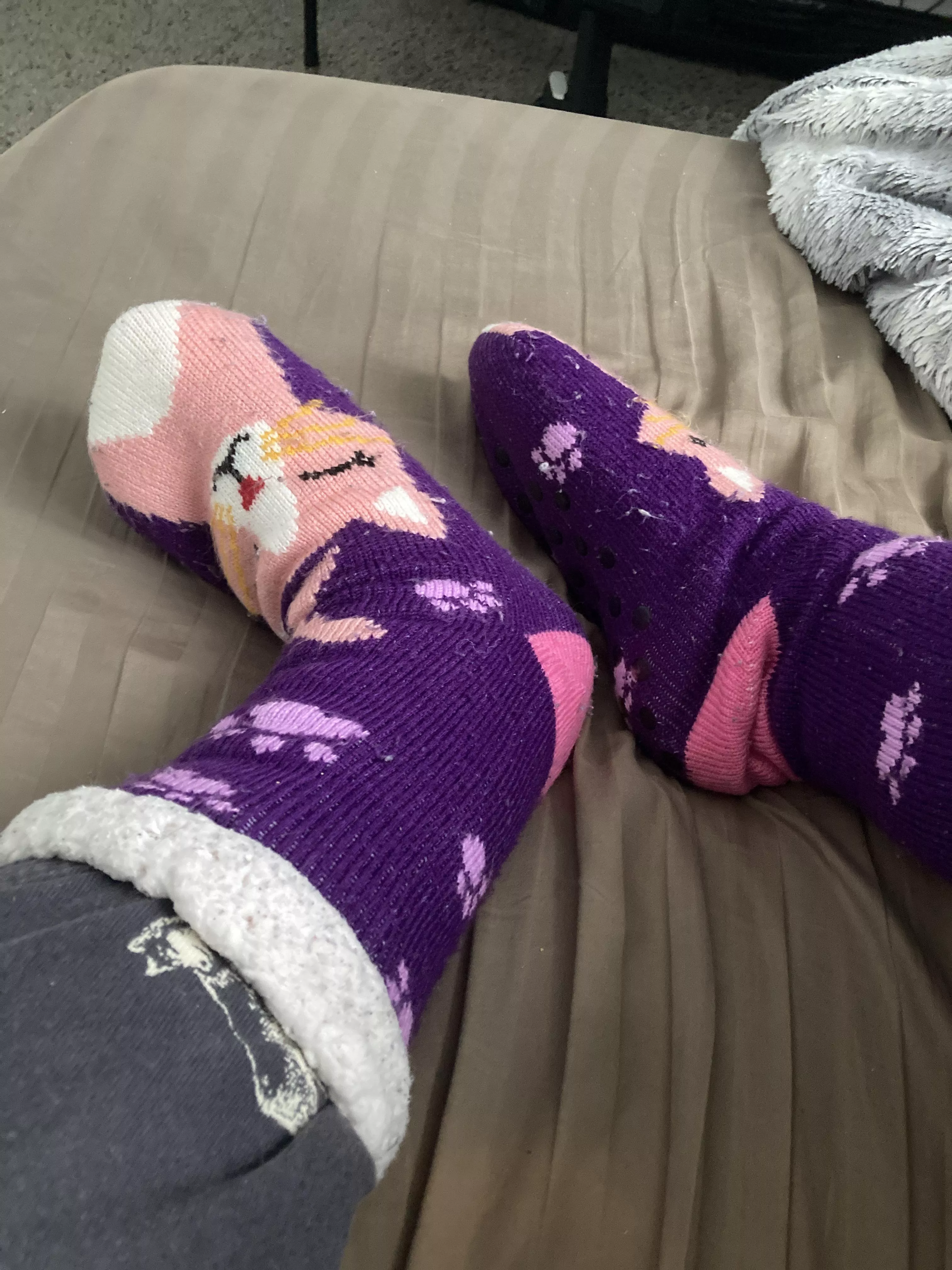 [?] do you like my cat sock?