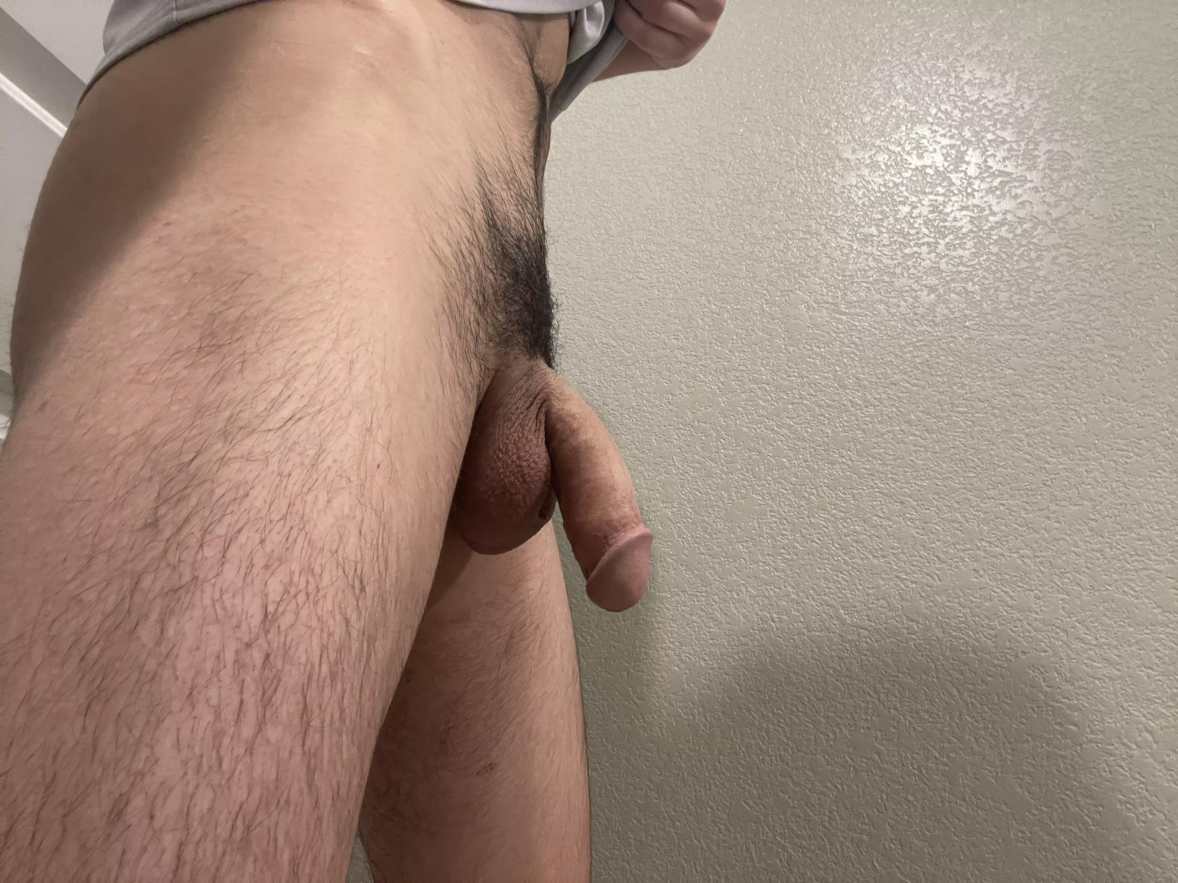 Do you like my Penis ?