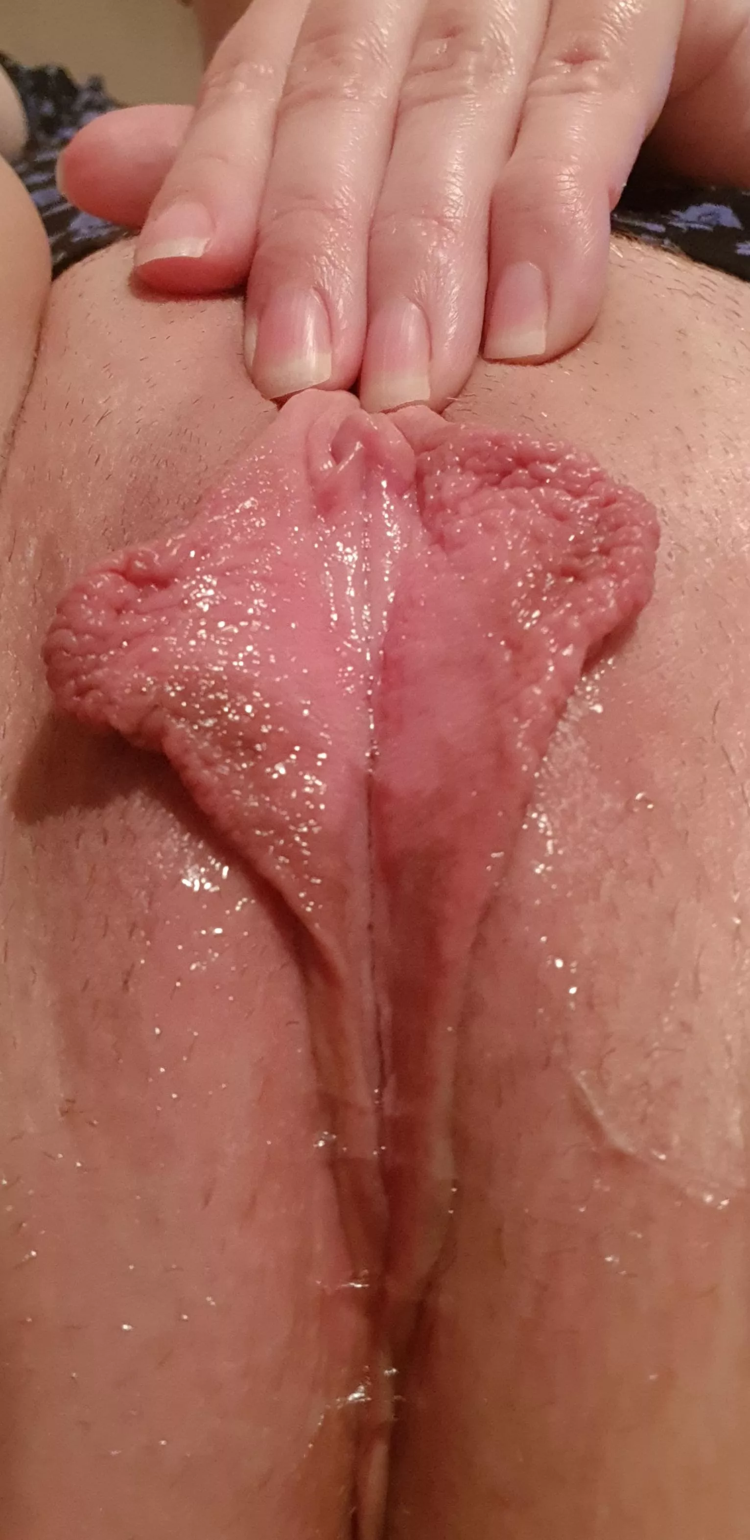 do you like really wet pussy lips