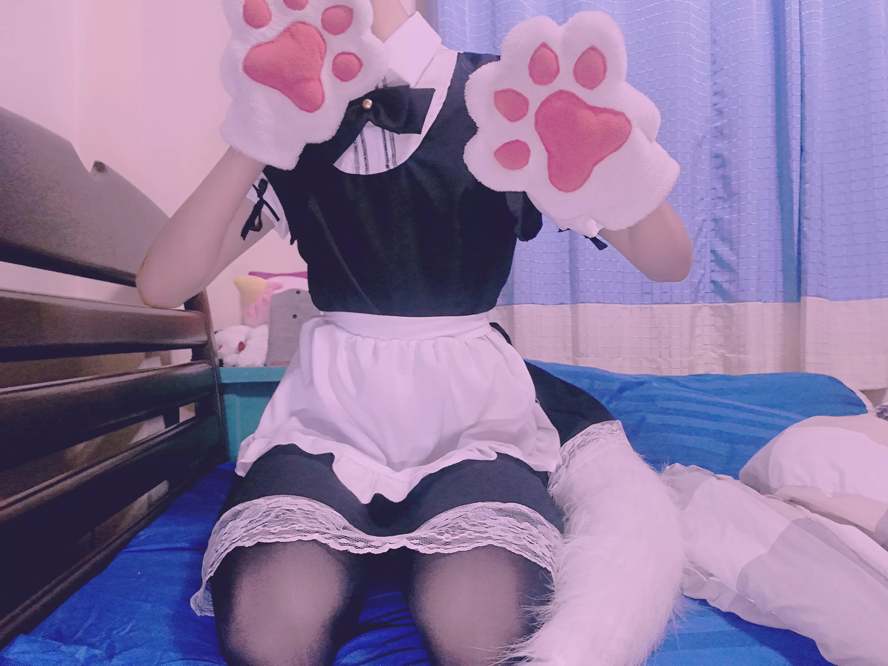 do you like shy maids?