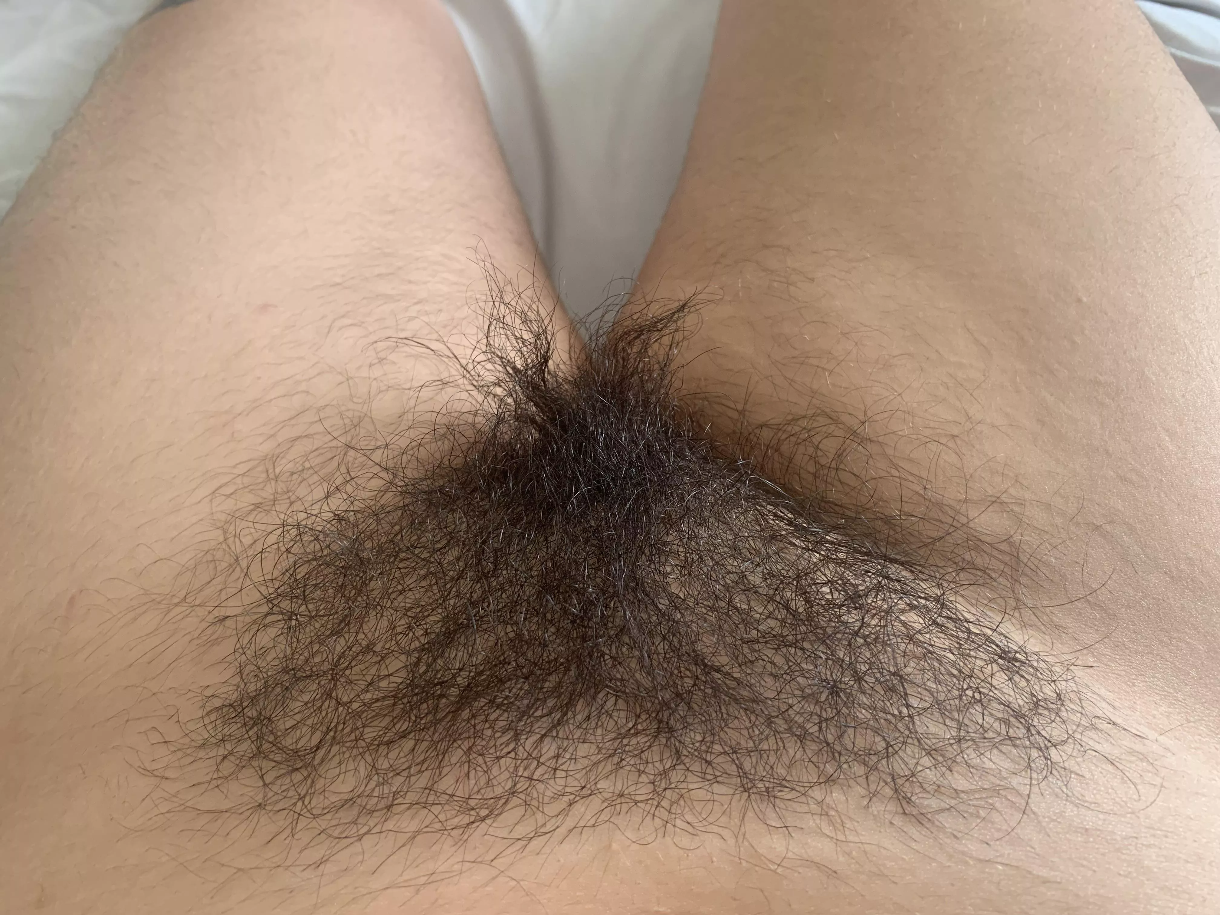 Do you think hairy pussy is better than shaved?