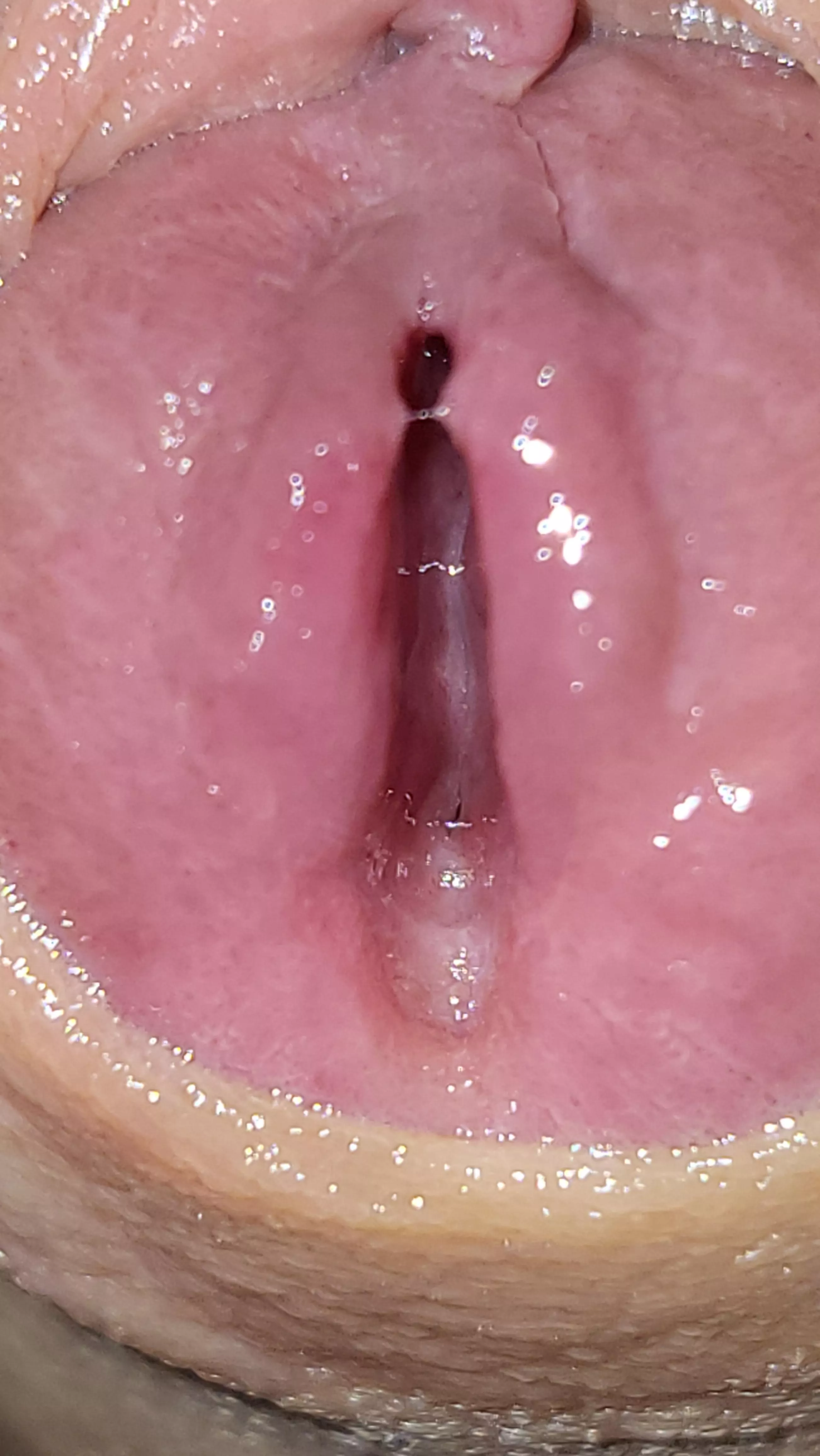 Do you want lick my wet cock?