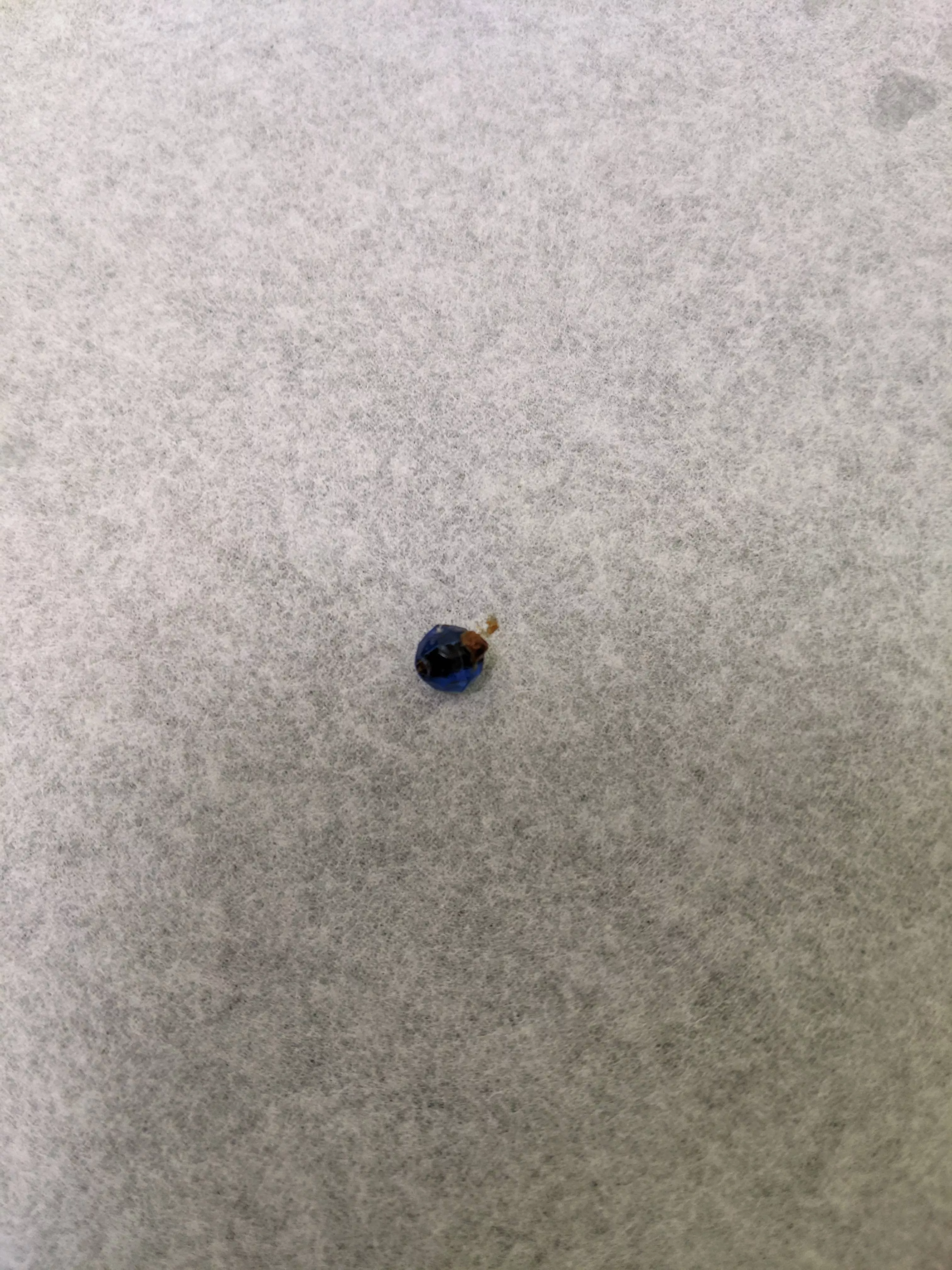 Doc flushed this bead out of my ear that I remember sticking in there when I was a kid. I'm 32 now...