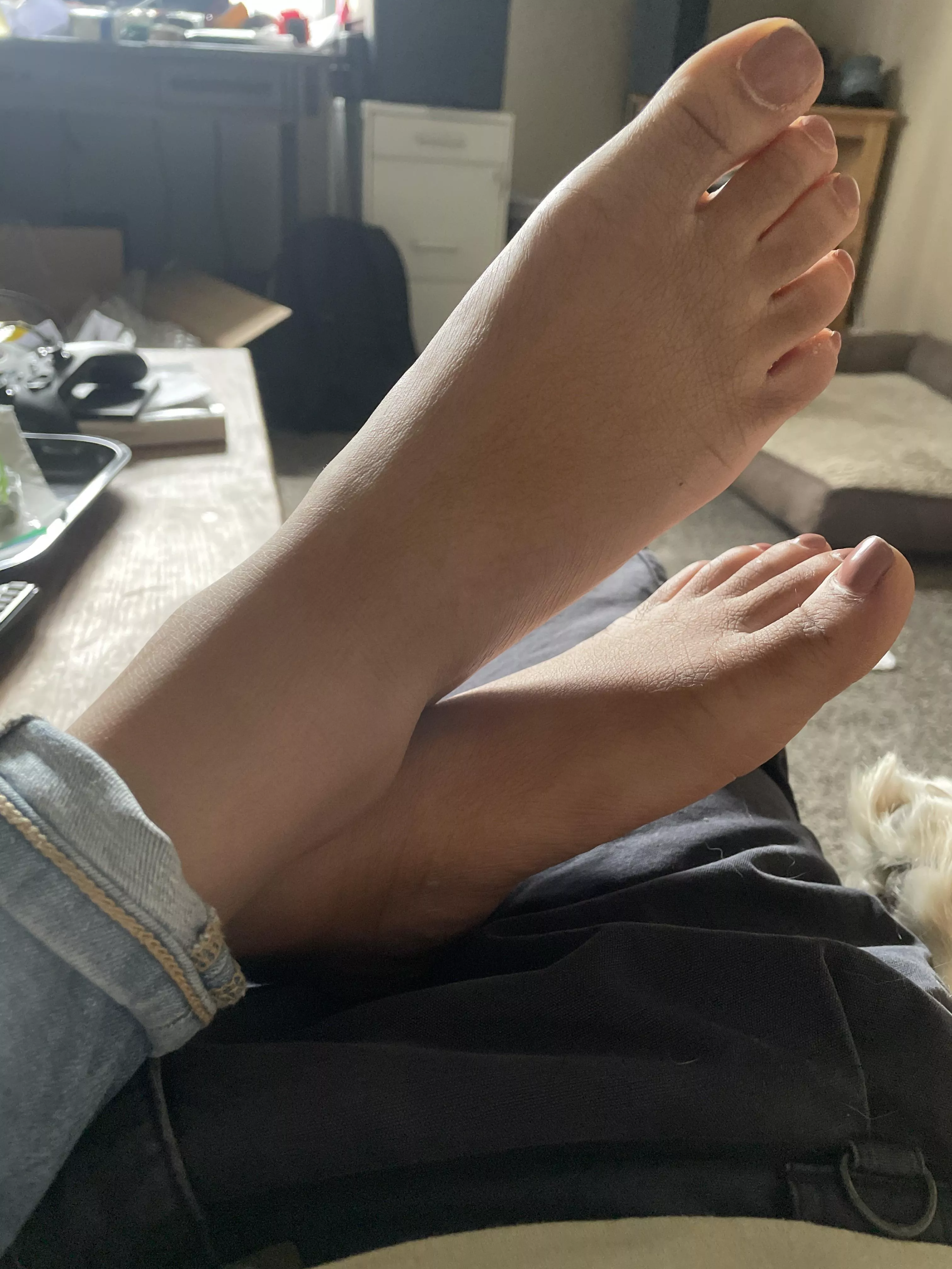 Does anyone want to see more of these sexy feet?