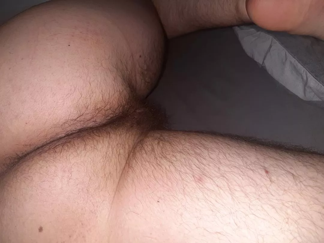 Does my hairy virgin ass make you hard? [18]