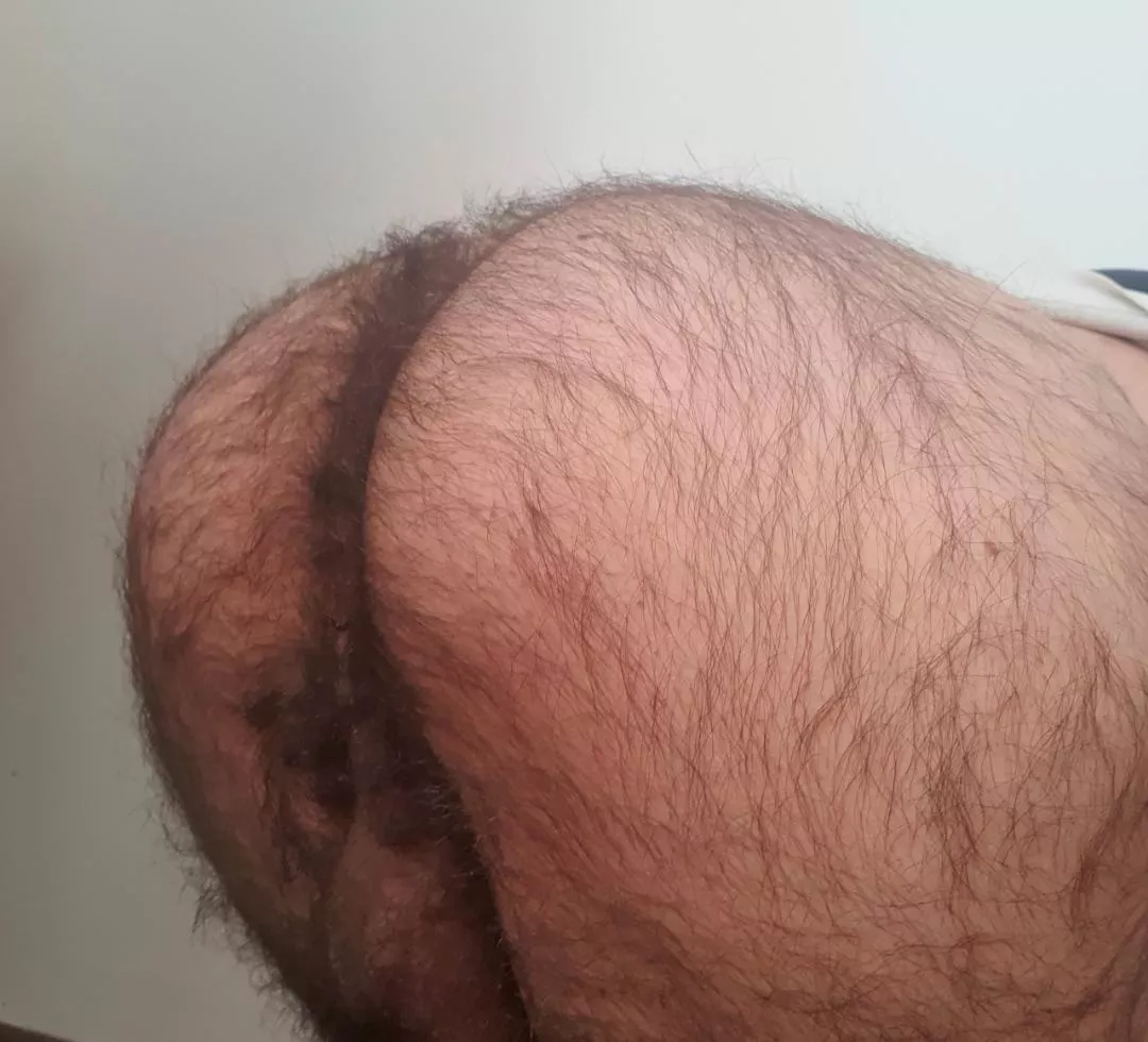 Does someone like hairy?