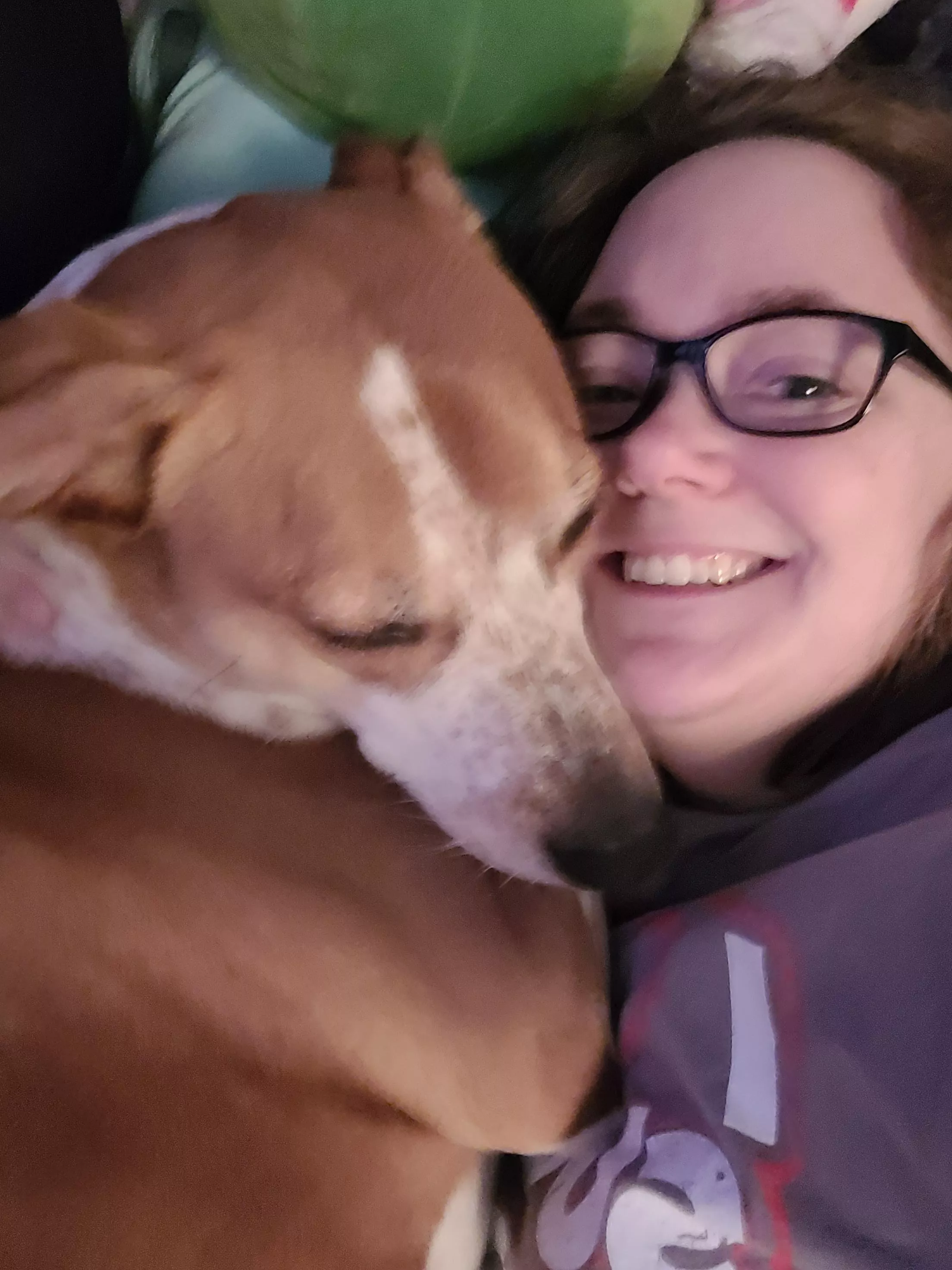 doggo snuggles