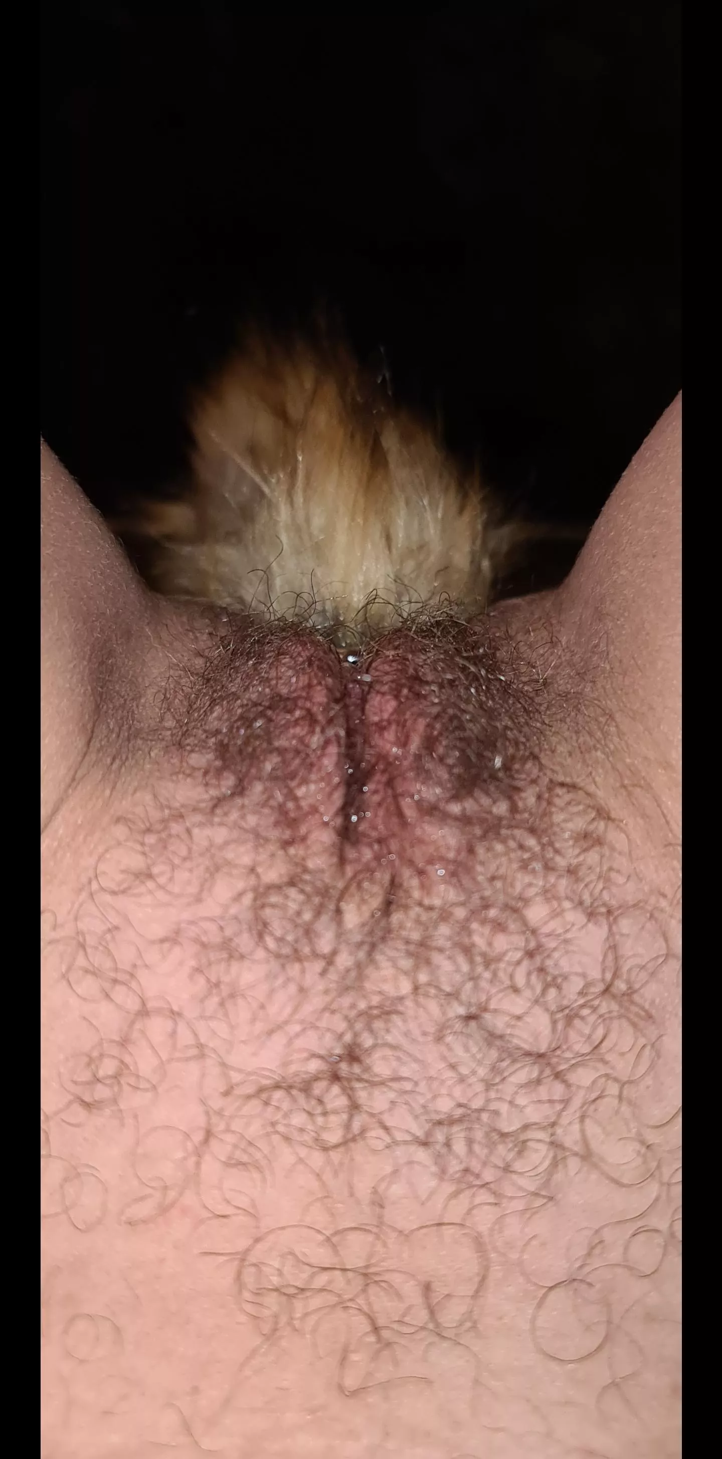 double hairy