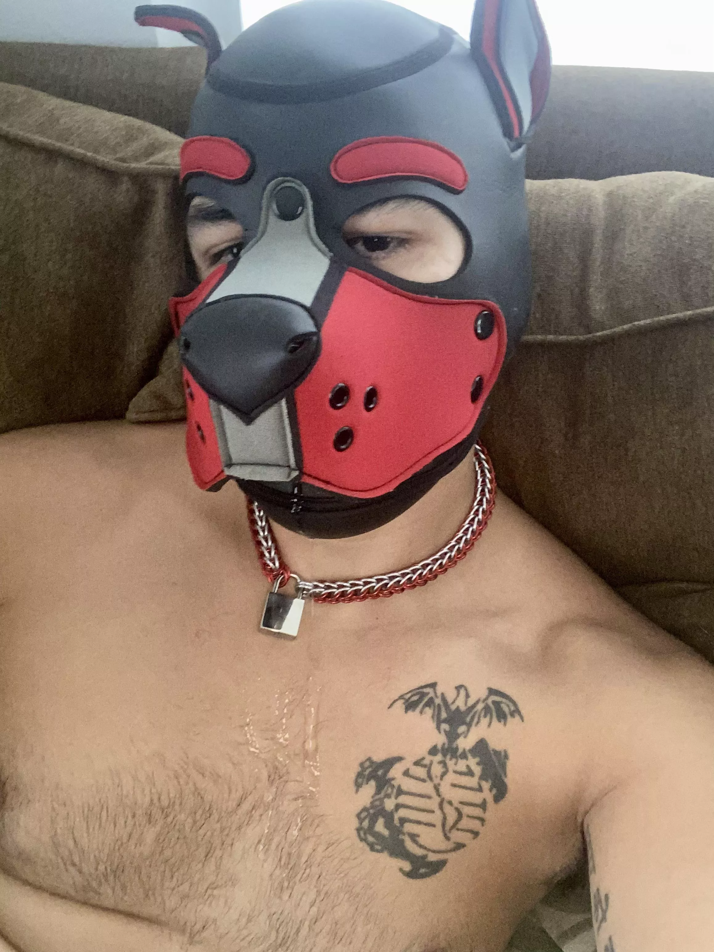 Drooling puppy 🤤🐶