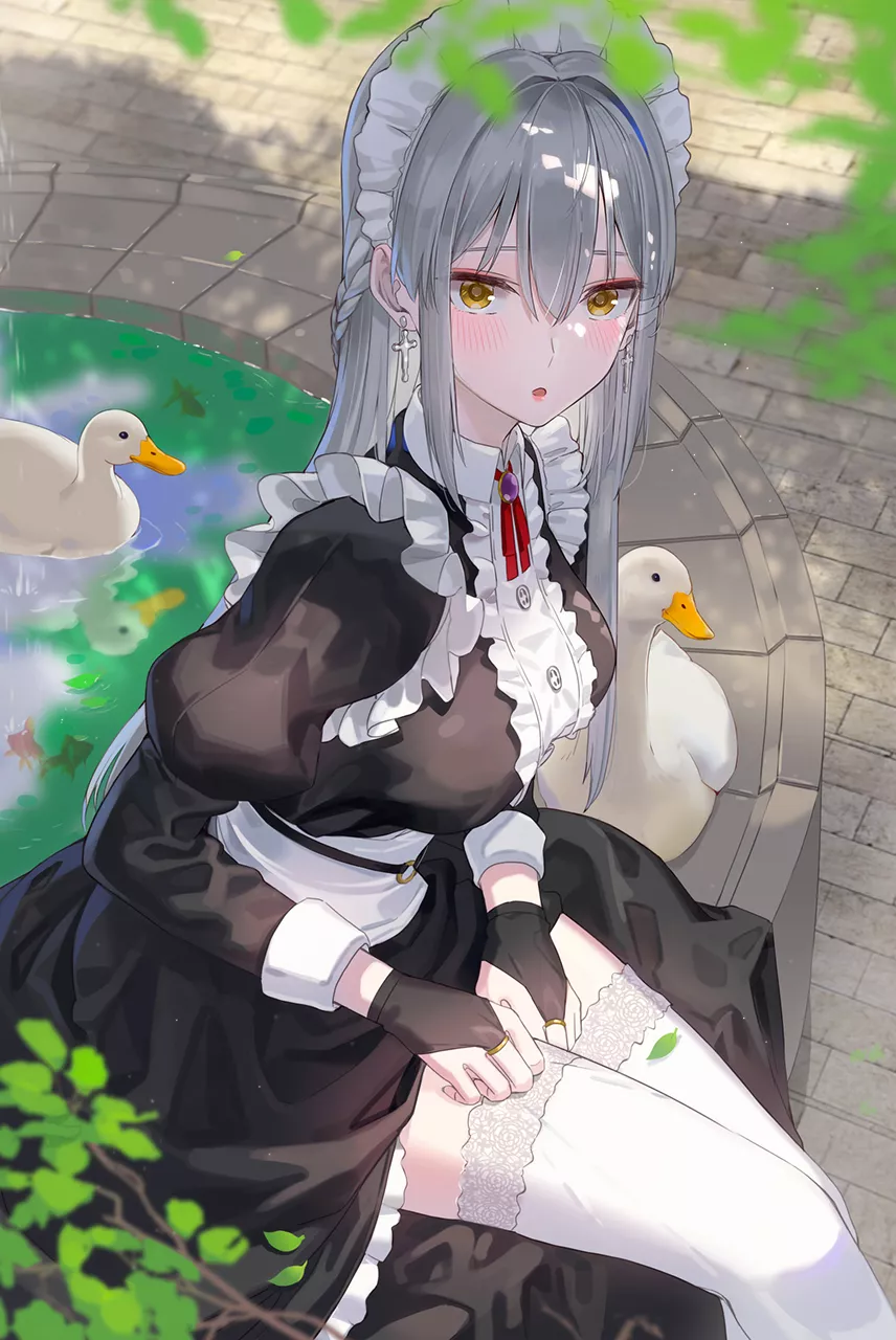 Ducks [Original]