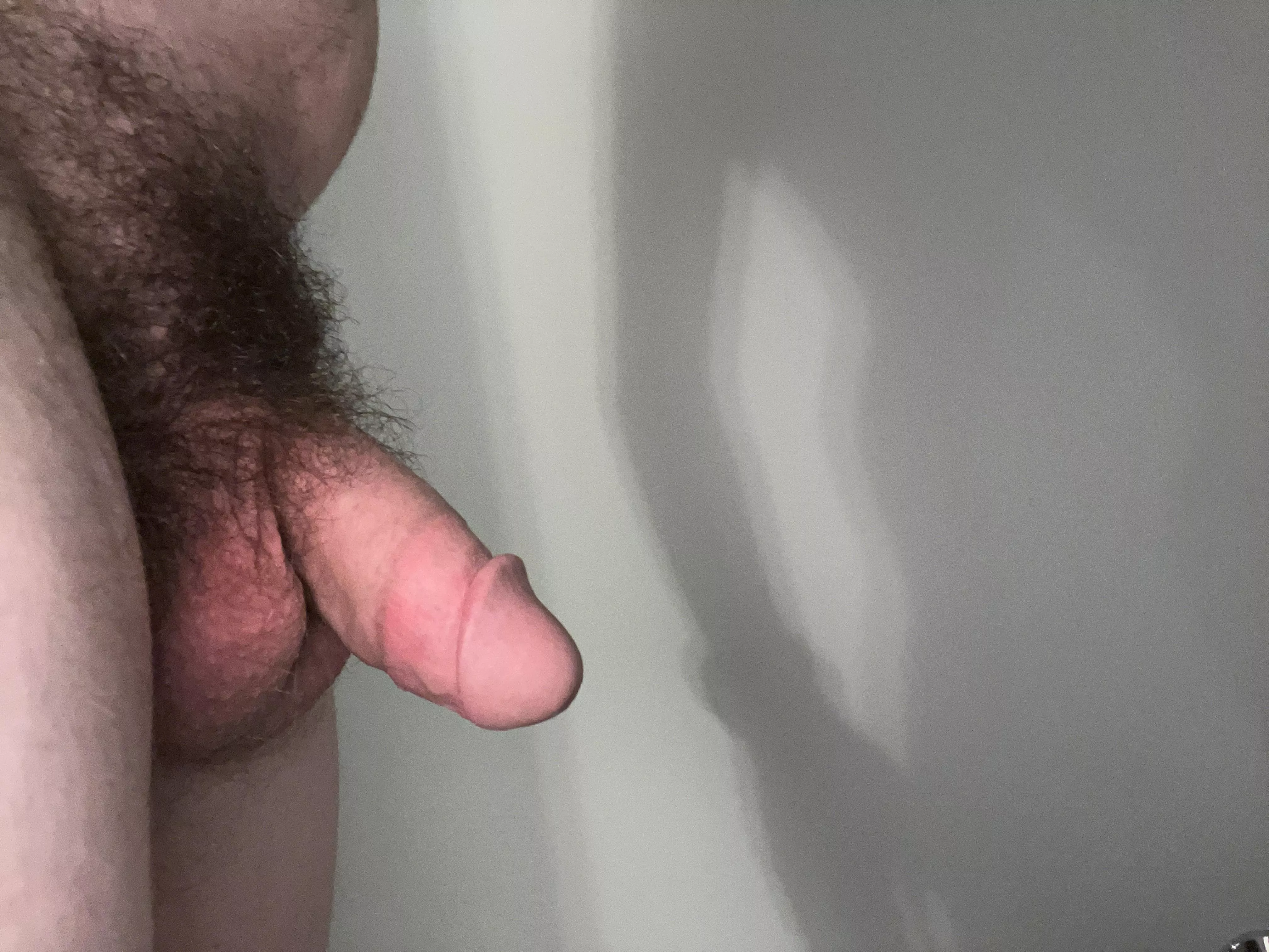 Early morning softie (M18)