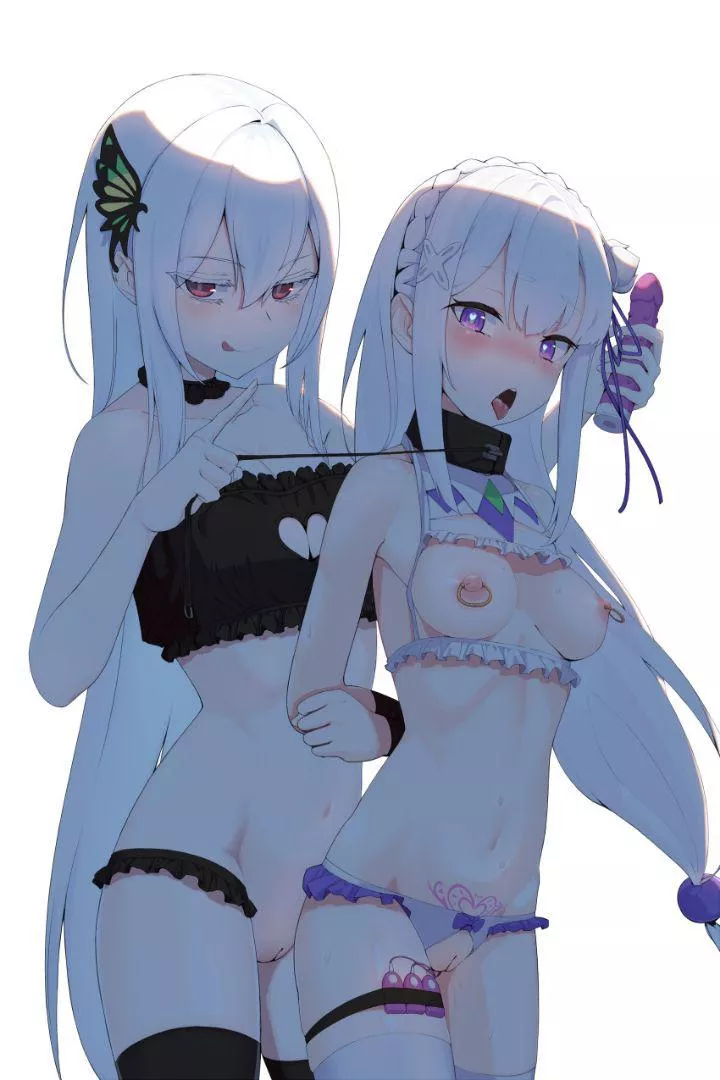 Emilia and Echidna