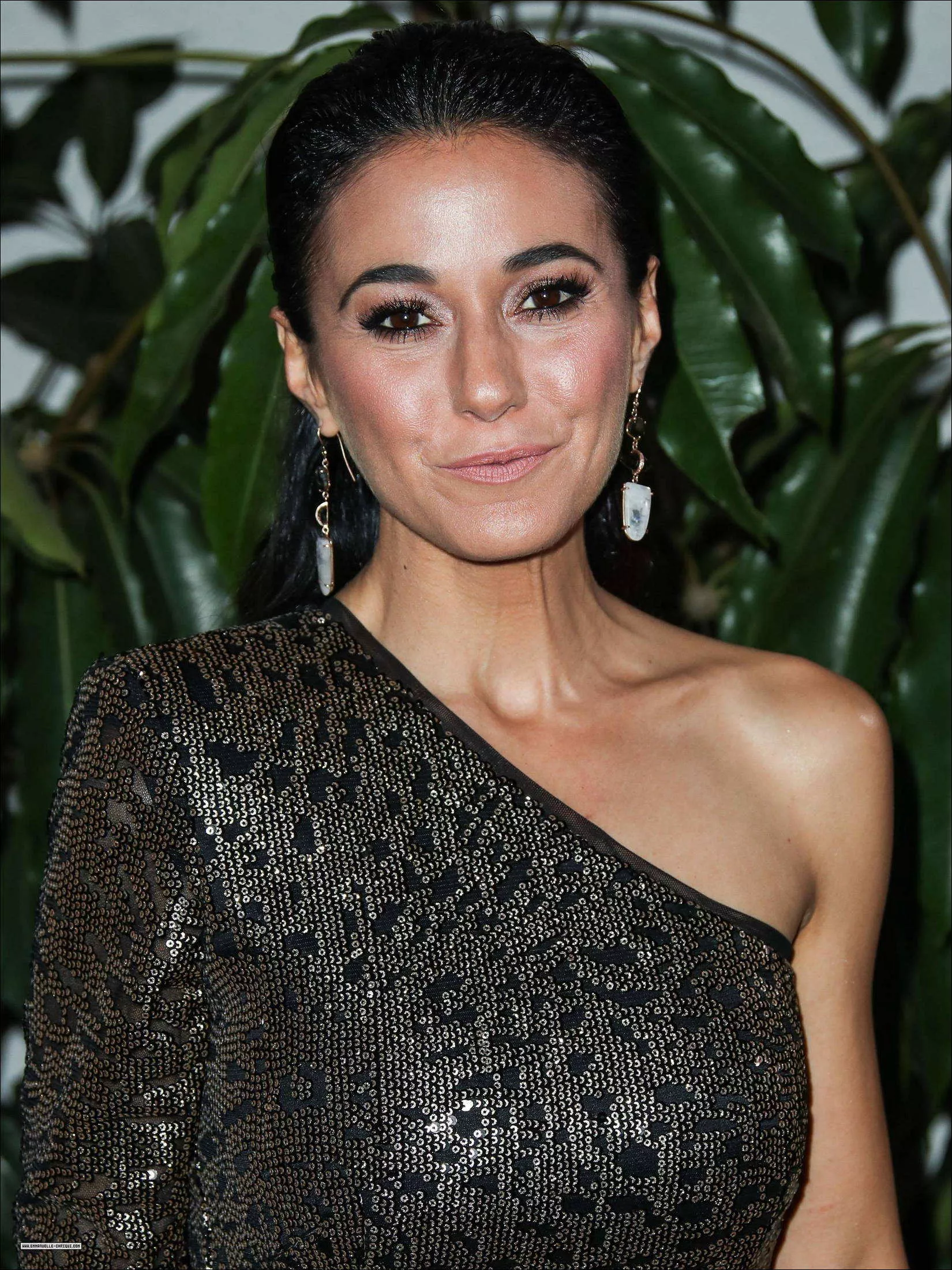 Emmanuelle Chriqui