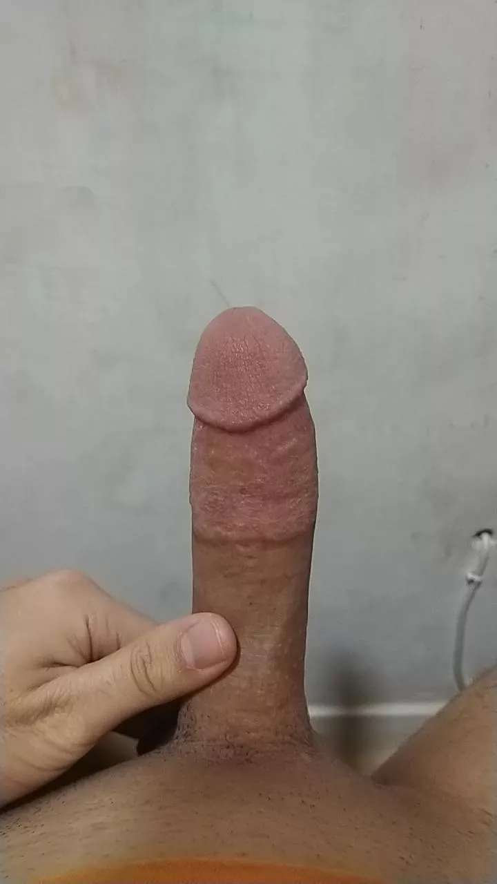 Erected Asian Dick