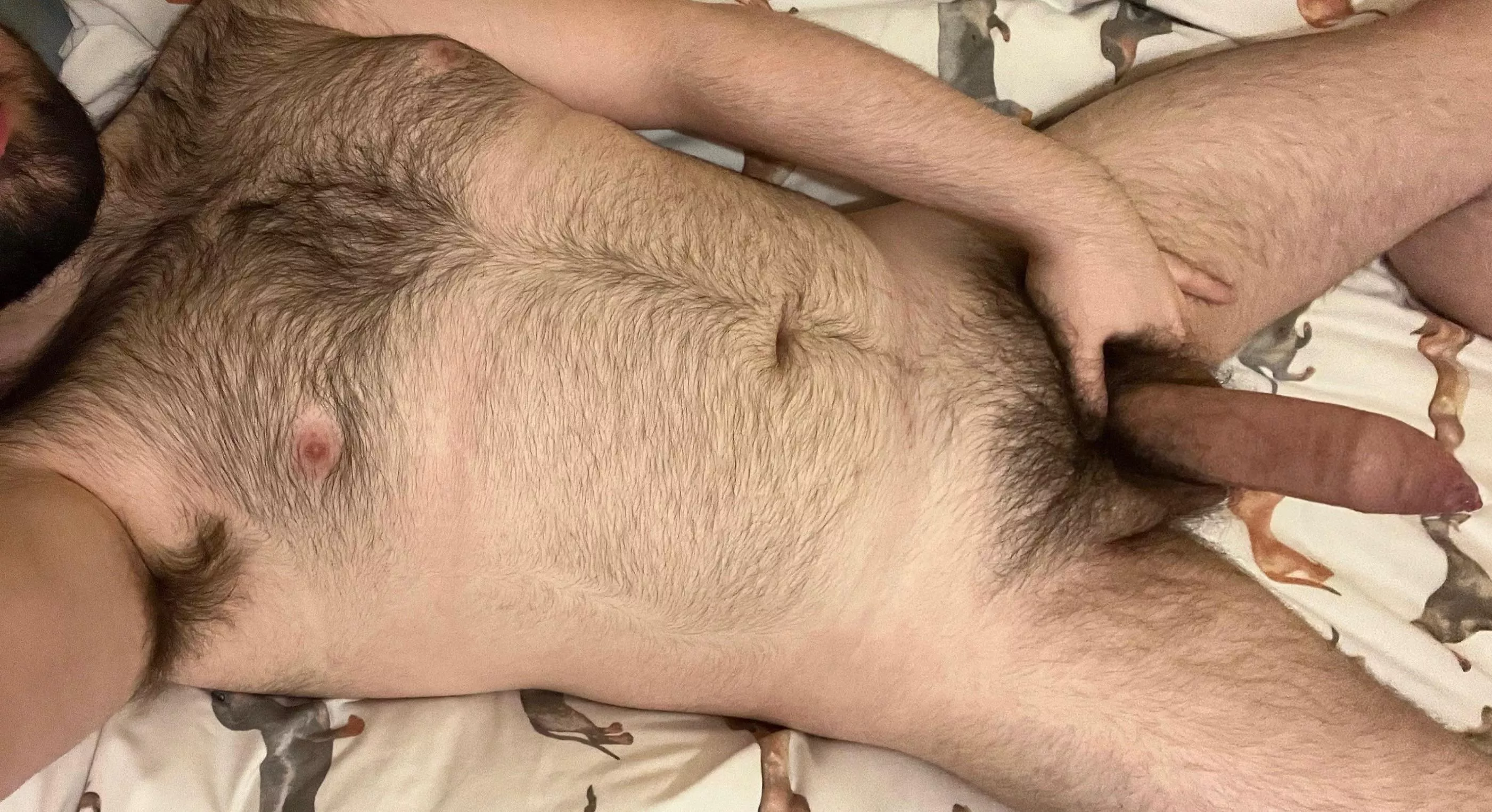 Evening boys! Who wants a taste of this hairy body? ðŸ˜ˆðŸ»