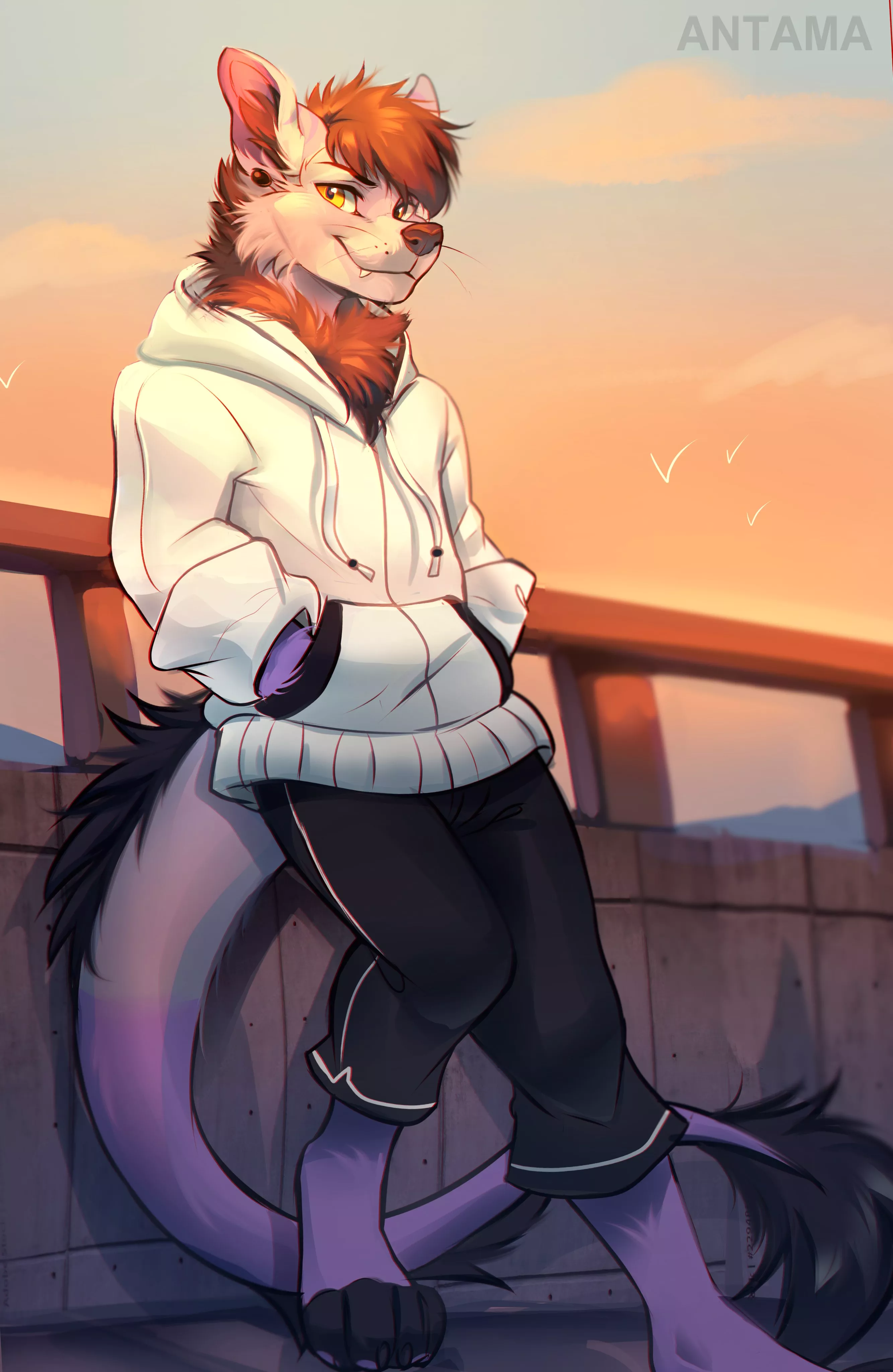 Evening Sky [Furry_Angel18]