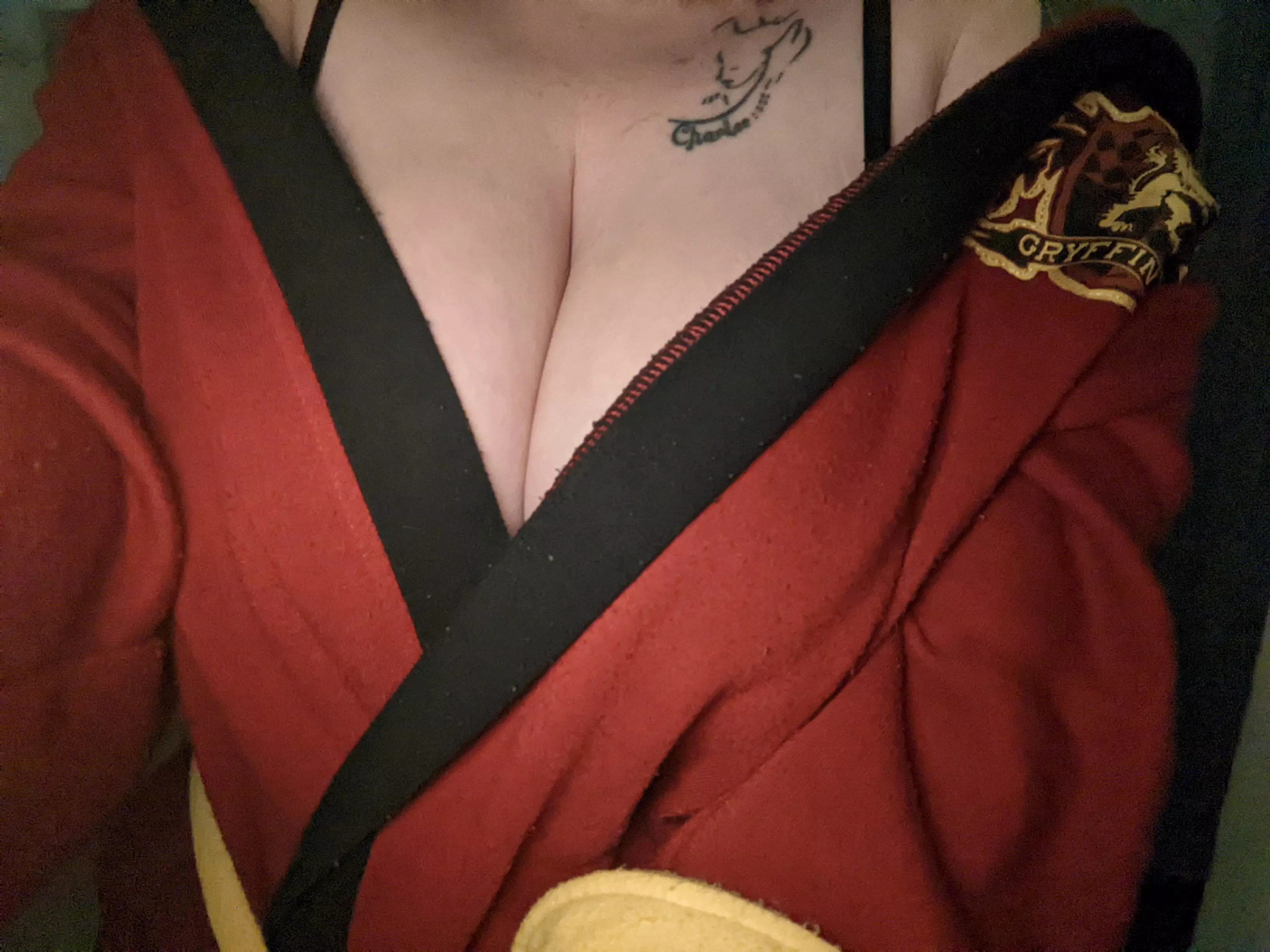 [f] team Gryffindor all day