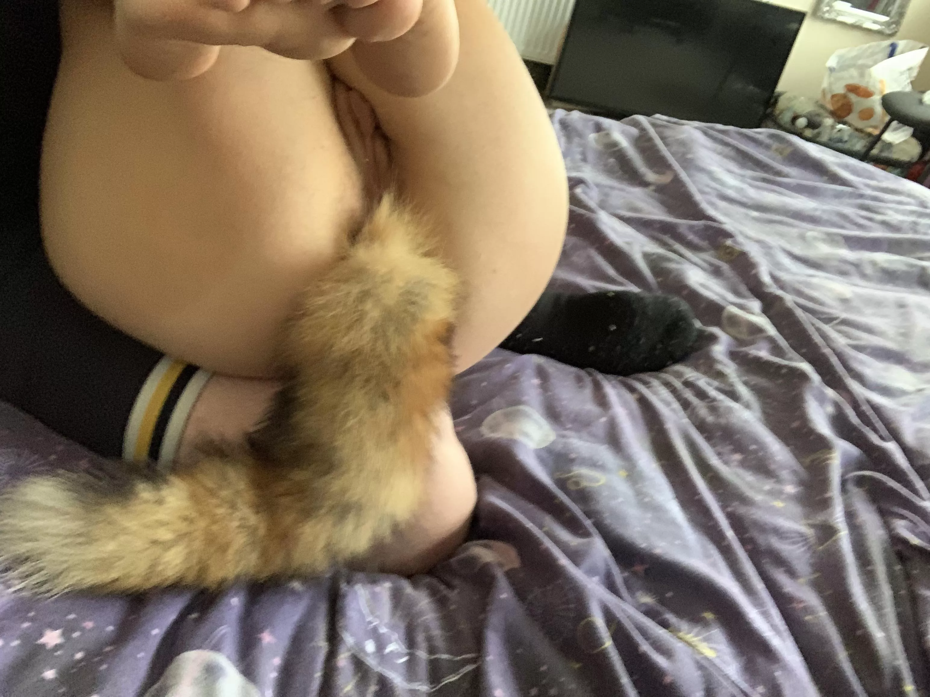 [F] Would you let this kitten lay on your lap? ðŸ¥º