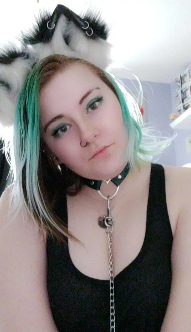 (F20) can I be your cat girl?!