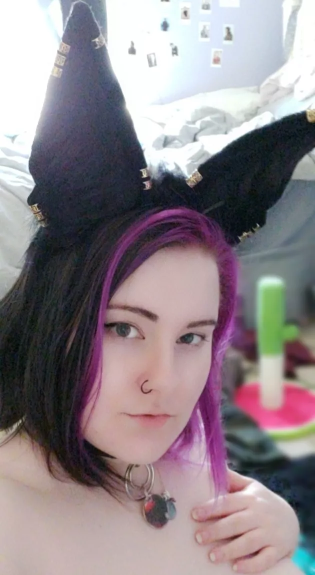 (F20) New kitten ears!