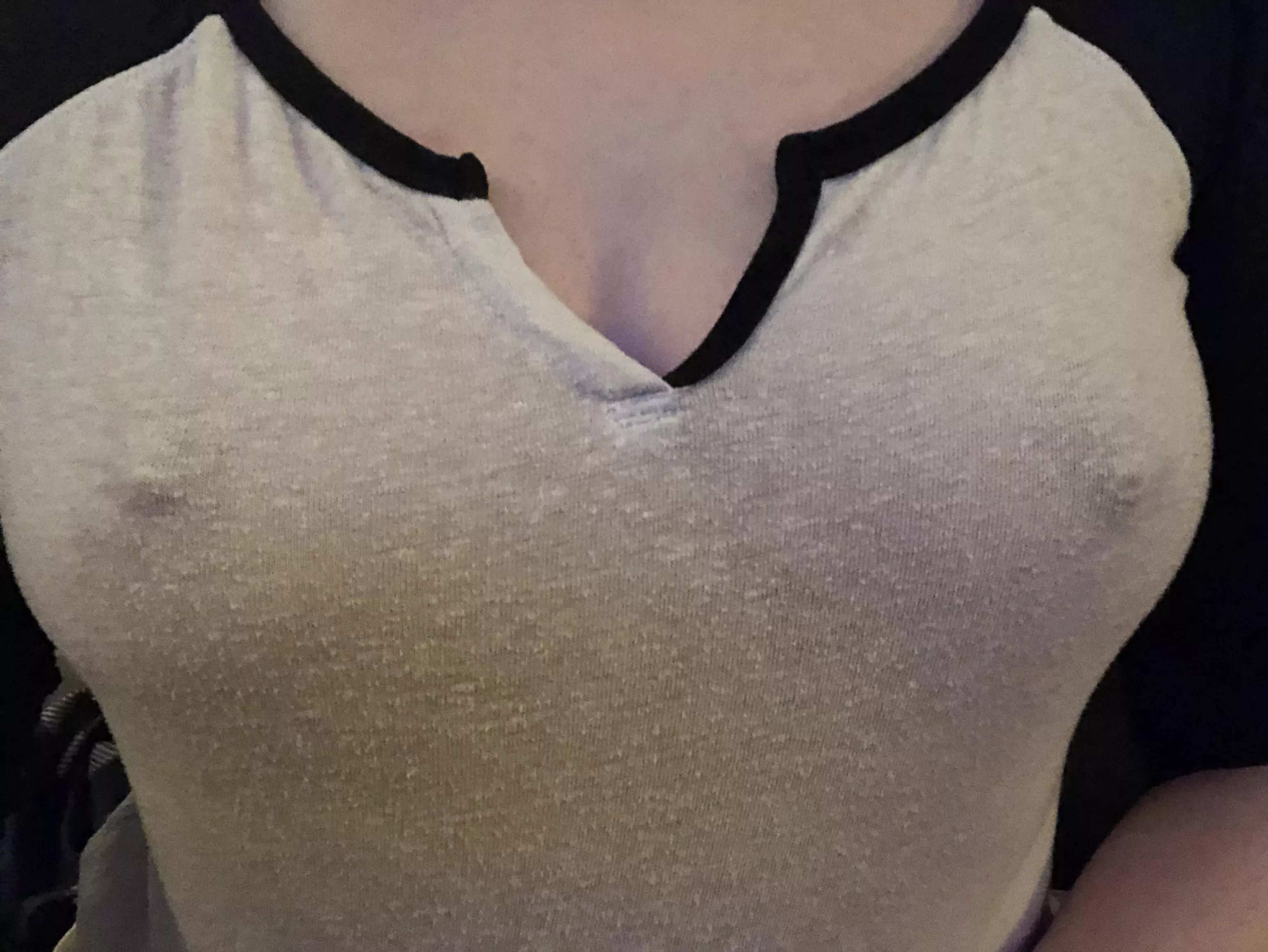 Favorite shirt pokies