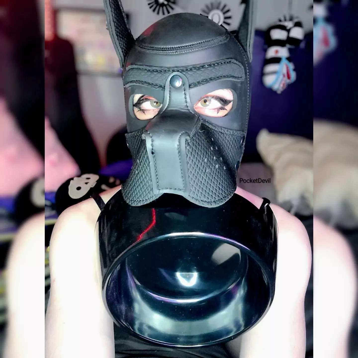 Feed The Puppy 🖤