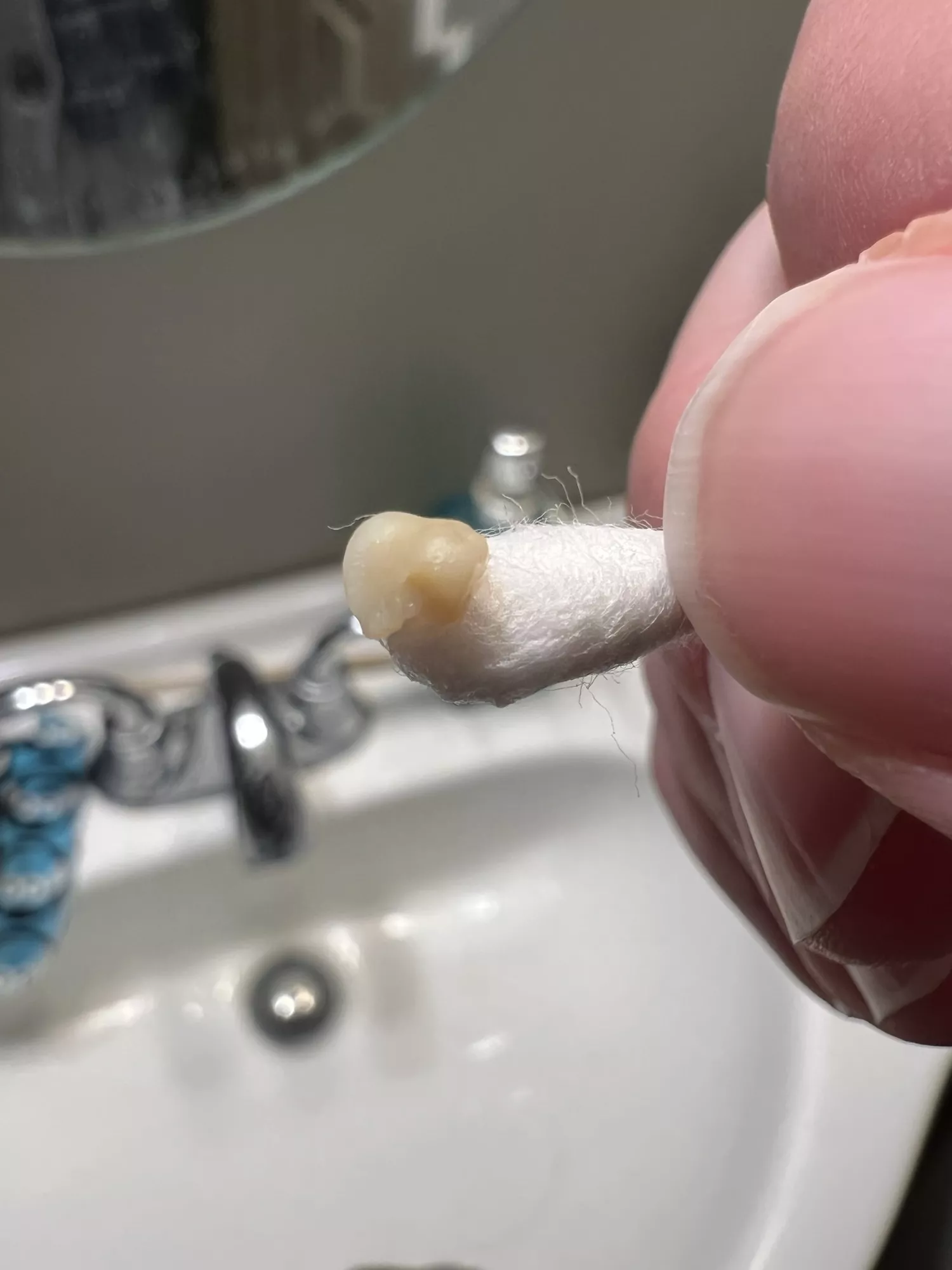 Felt a tickle in the back of my throat. Poked around a little and got this sucker out.