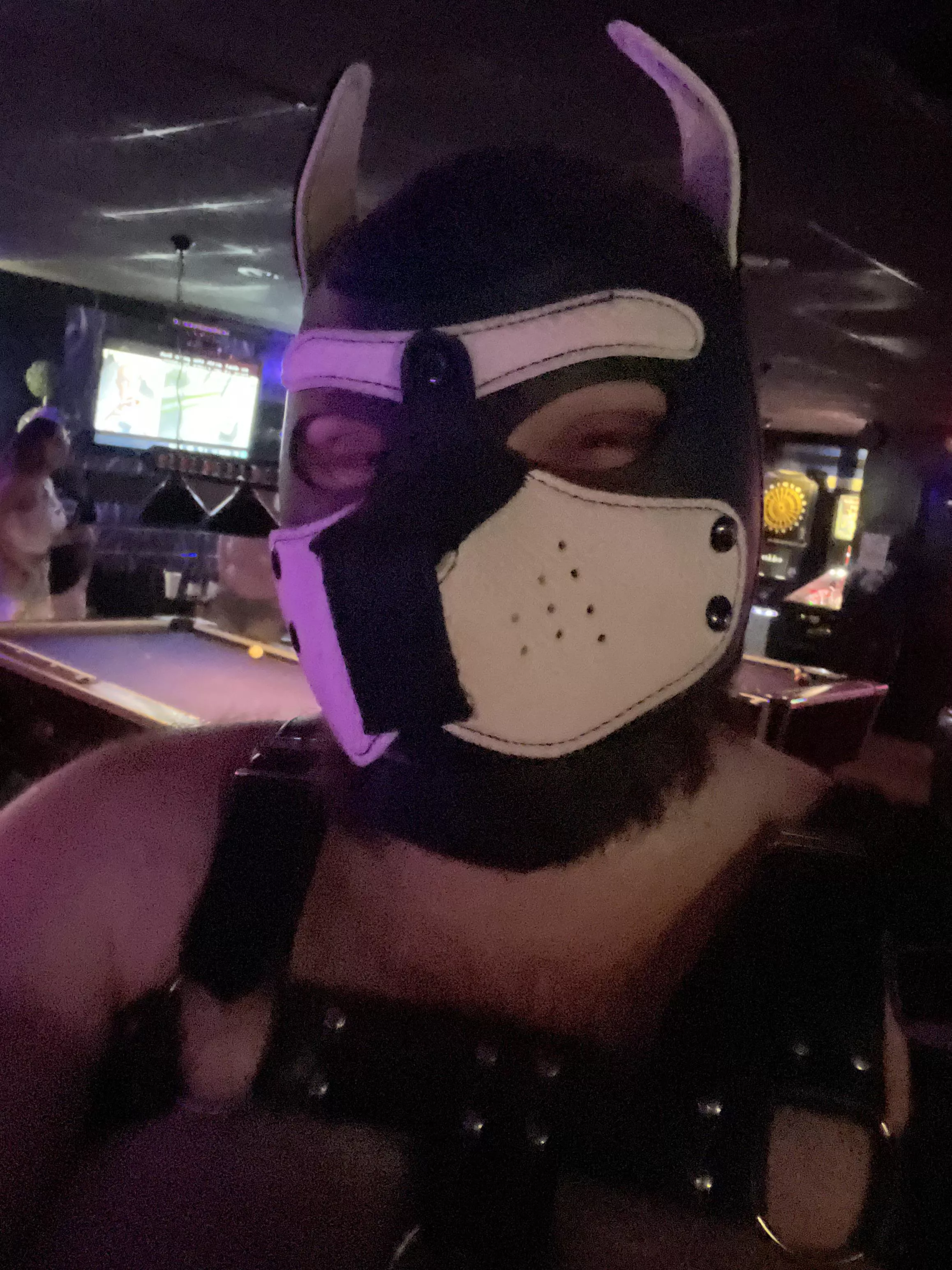 Felt cute the other night at our local bar!