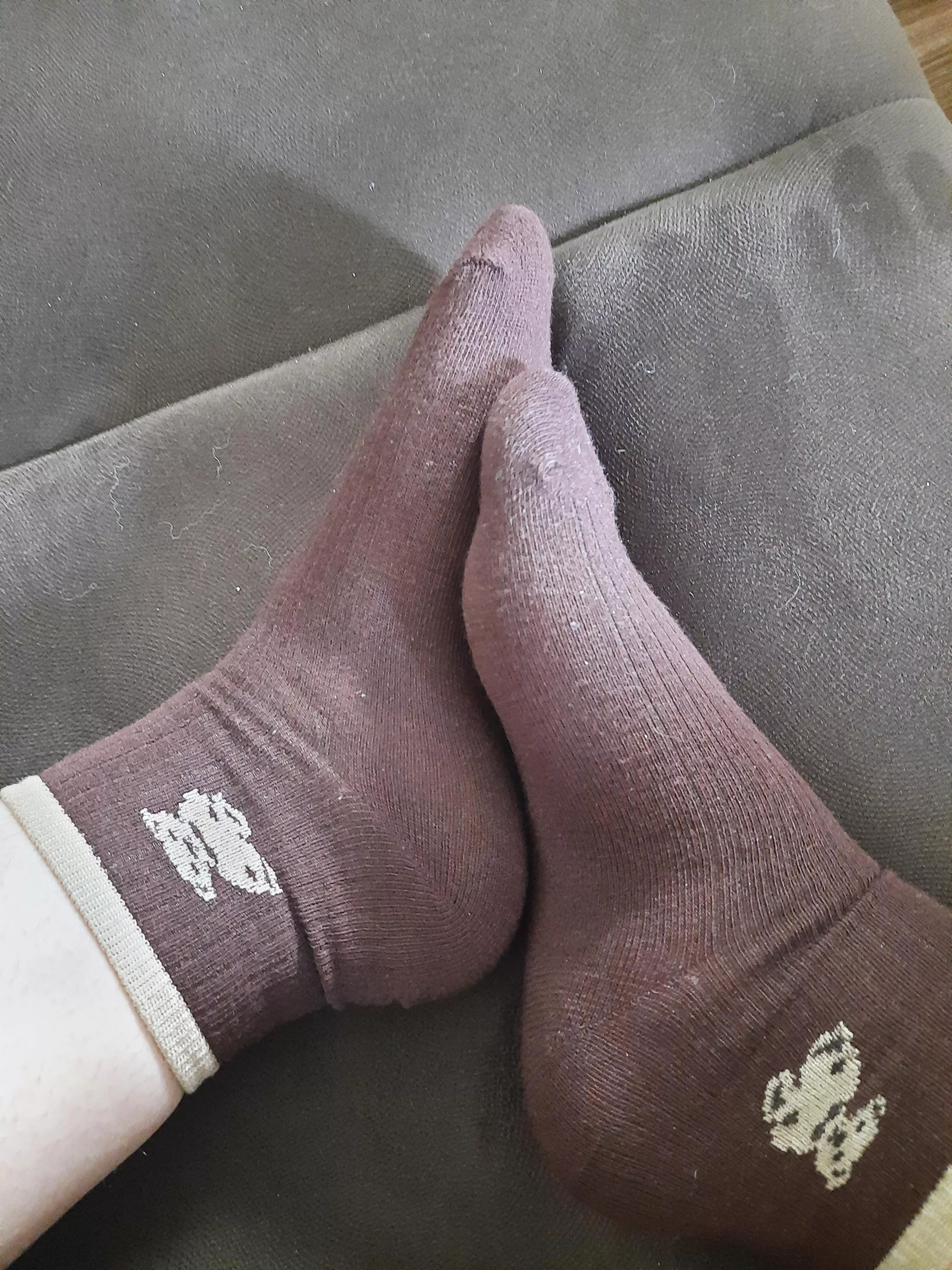 [Female] Cute new socks