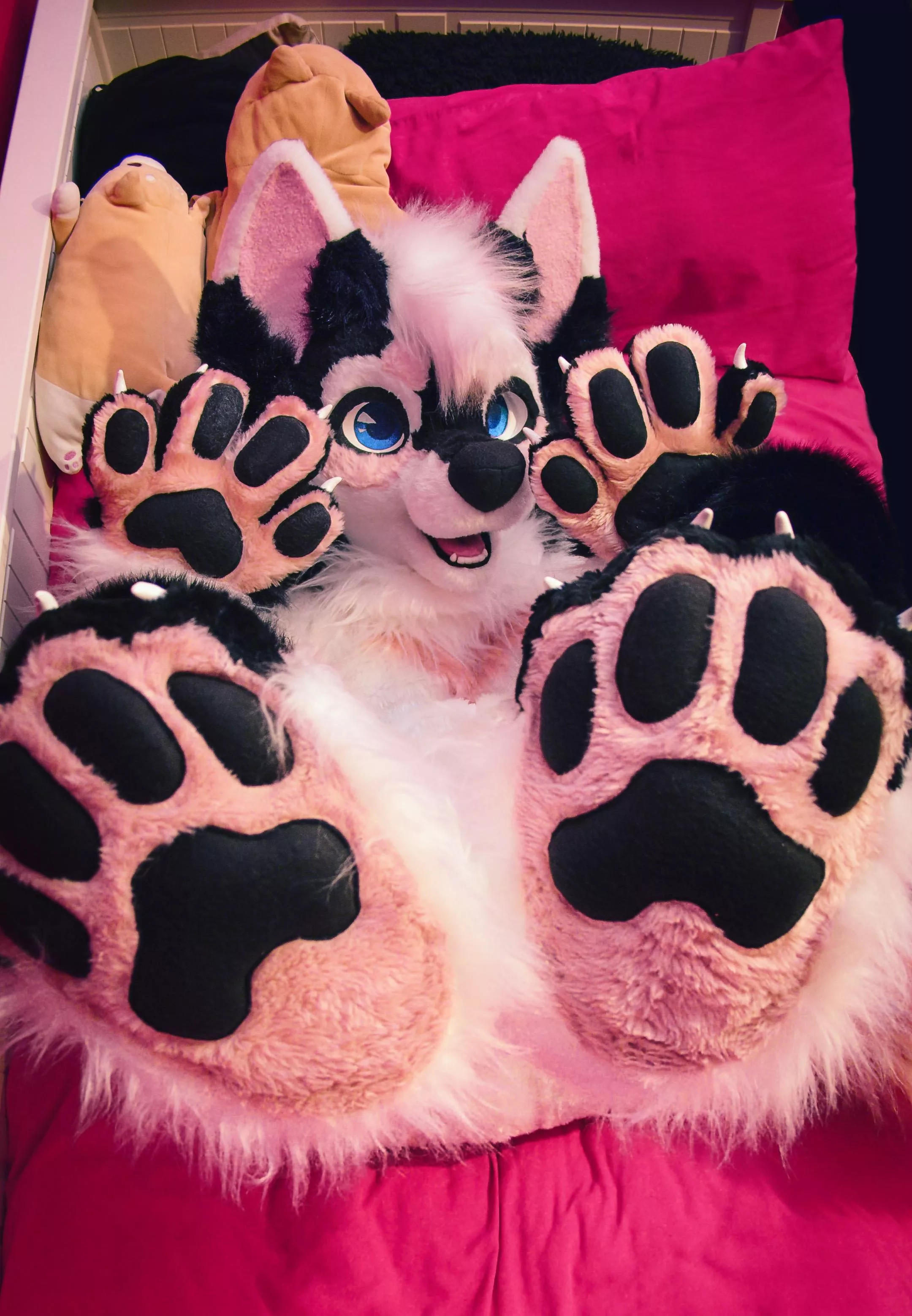 Finally got my fursuit. I have achieved BEANS