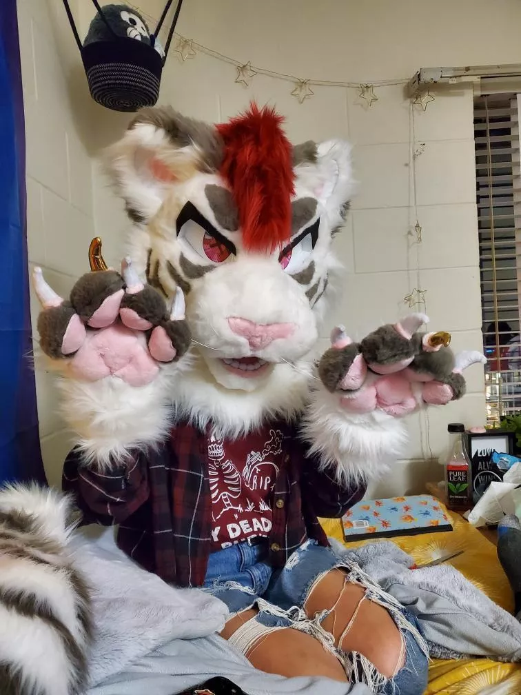 First Ever Fursuit!!